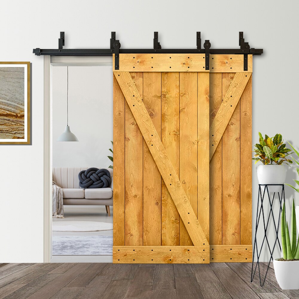 CALHOME 5XBP+S72+(2)B30AT Barn-Doors - View #6