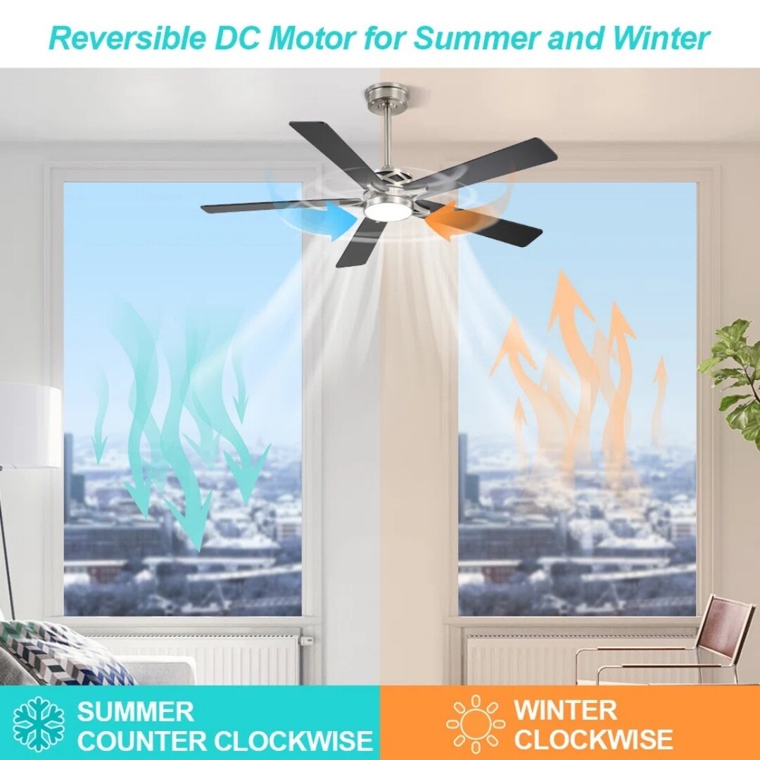 MLIAN WBCF-BS207-NB Ceiling-Fans - View #6