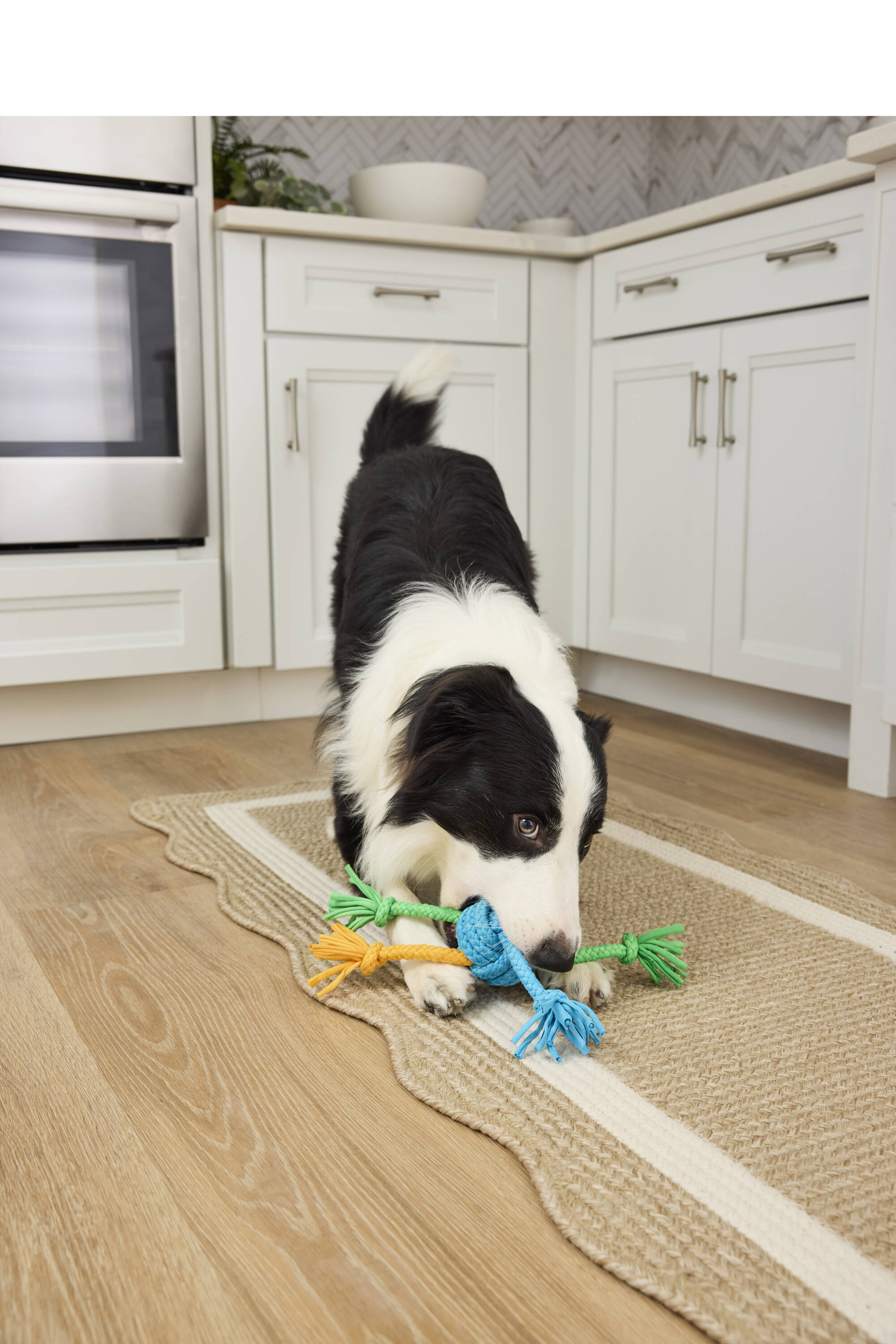 Heart & Herd YT021093 Dog-Toys - View #3