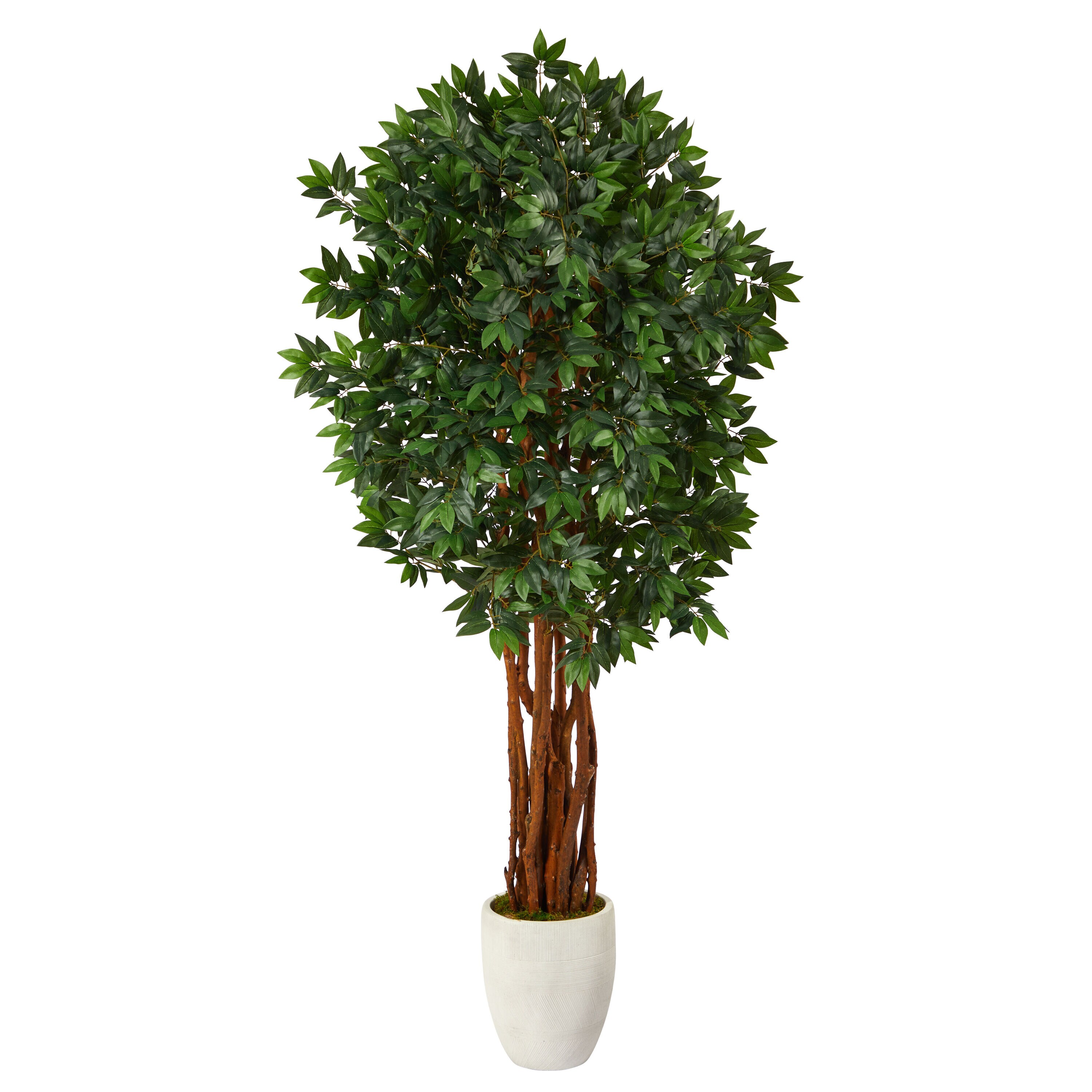  6-ft Lychee Artificial Tree in White Planter