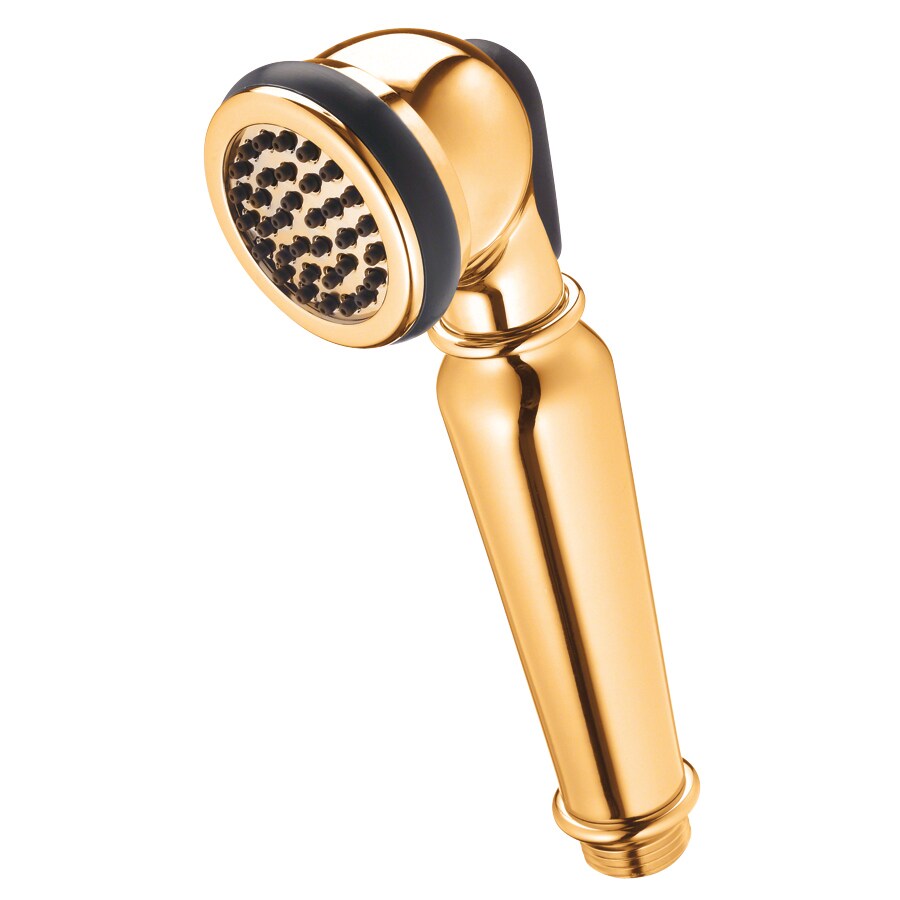 Danze Polished Brass Round Handheld Shower Head 2.5-GPM (9.5-LPM) at ...