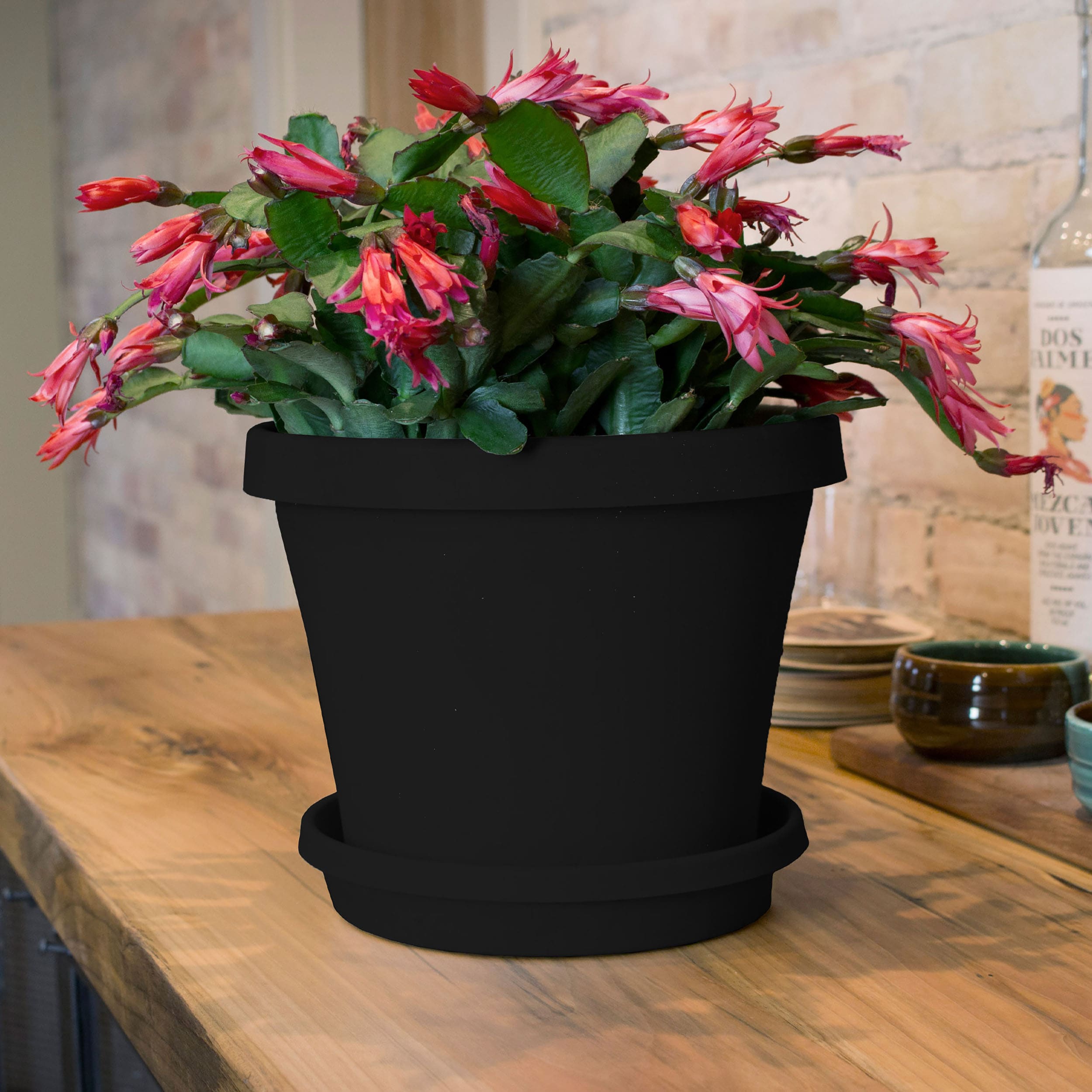Bloem DCB-TERMIX10 Planter-Window-Box - View #2