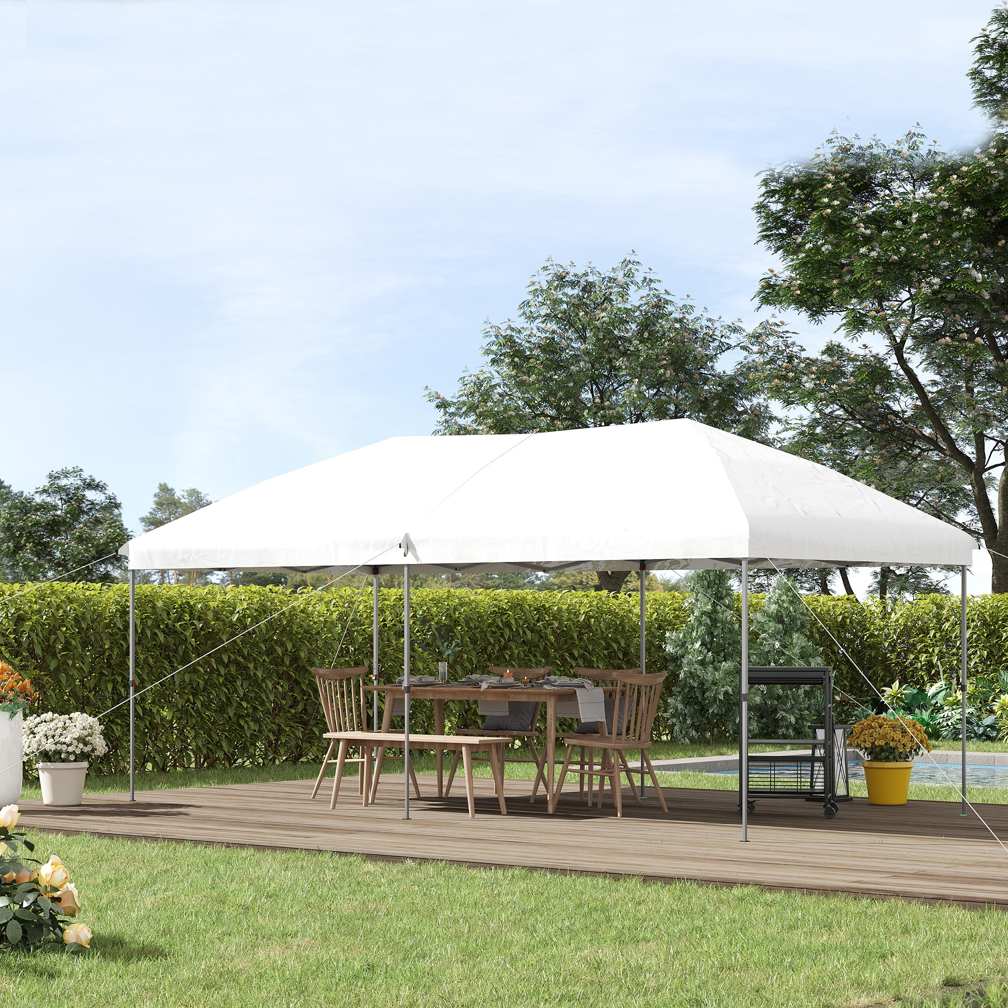 Kahomvis AOS-QP109-200 Canopies-Sl - View #2