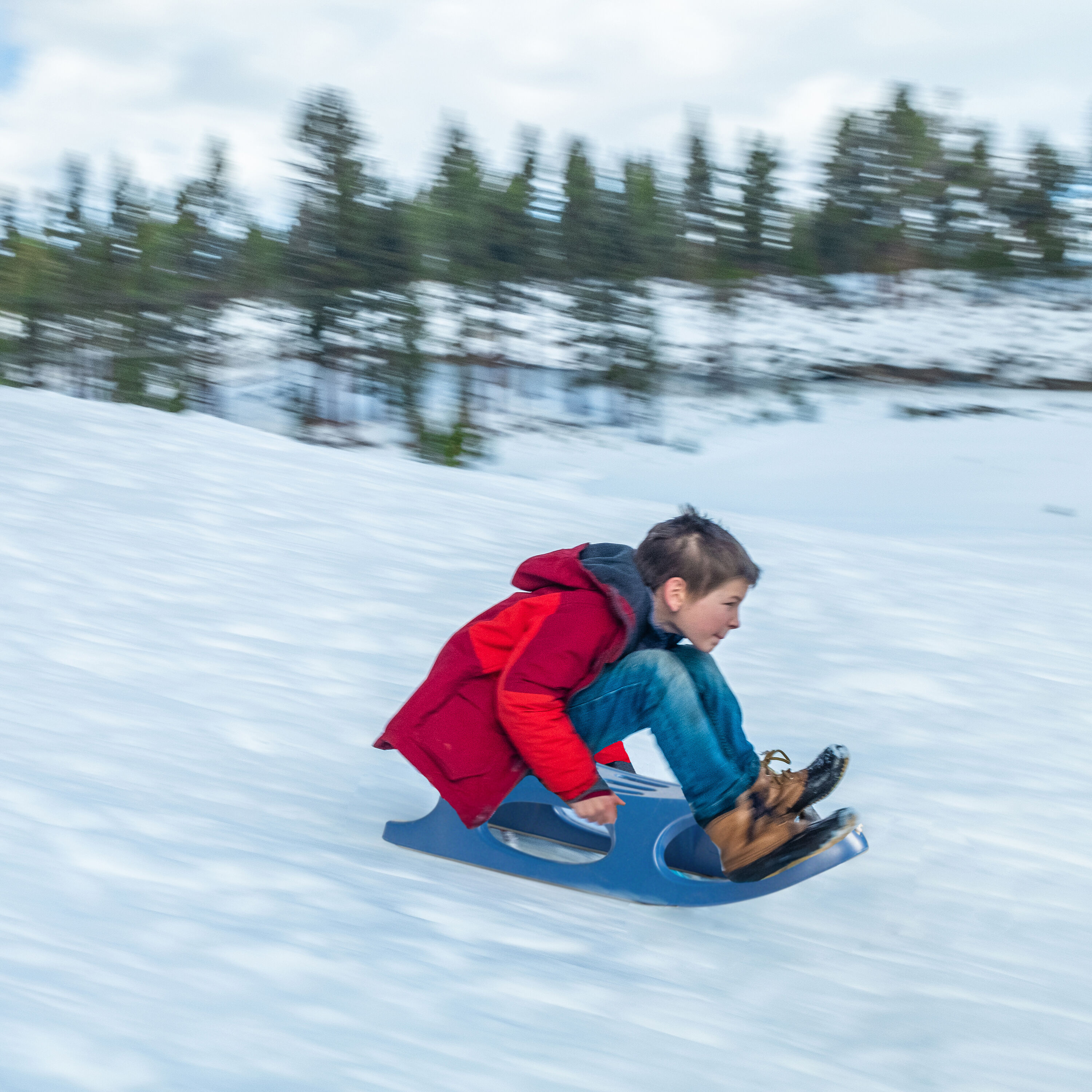 ShpilMaster QI004217.BL.2 Snow-Sleds - View #7