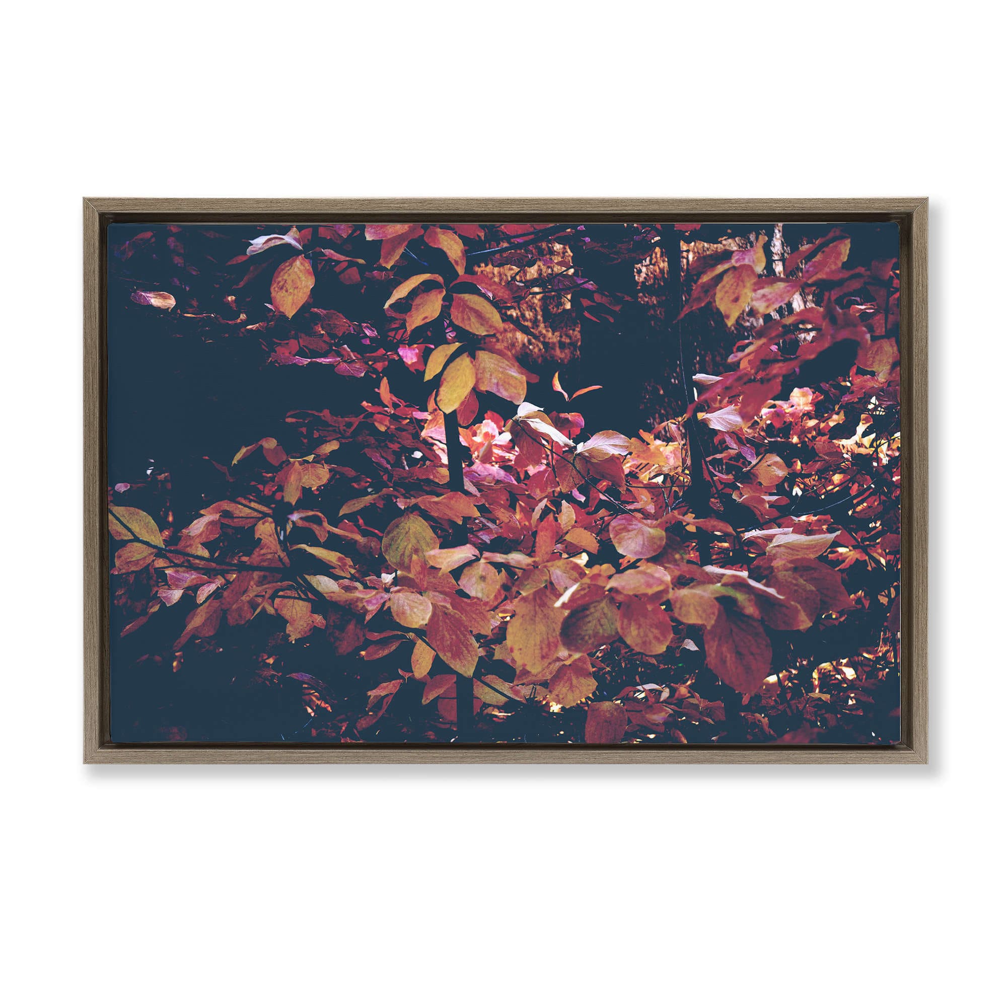 Stupell Industries BU-141-FFE-16X24 Dusky Forest Leaves Brown Framed Floater Canvas Wall Art By Gemma Bardot 25 x 17