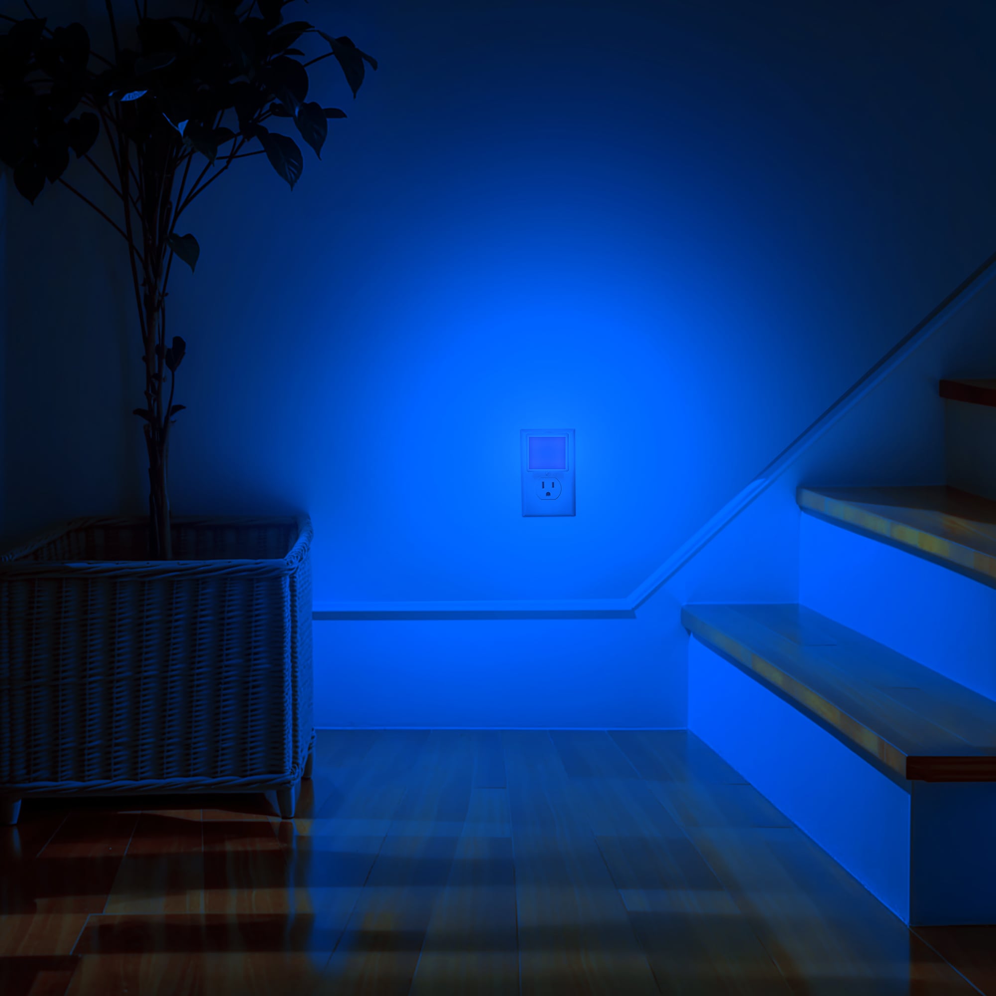 DORESshop LSC-110VGY0050B-2 Night-Lights - View #4