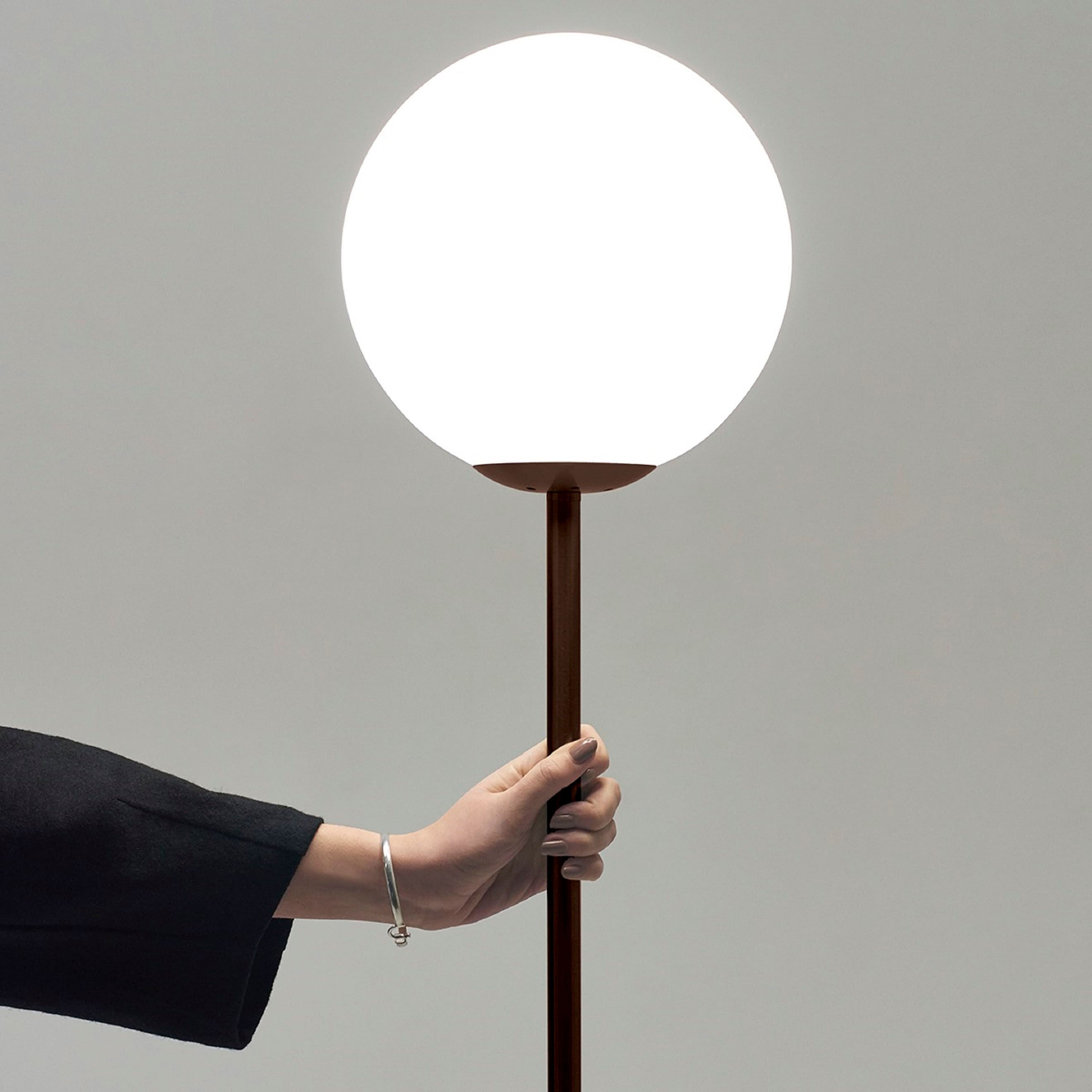 Luna 65" Bronze Modern LED Floor Lamp with Frosted Glass Globe