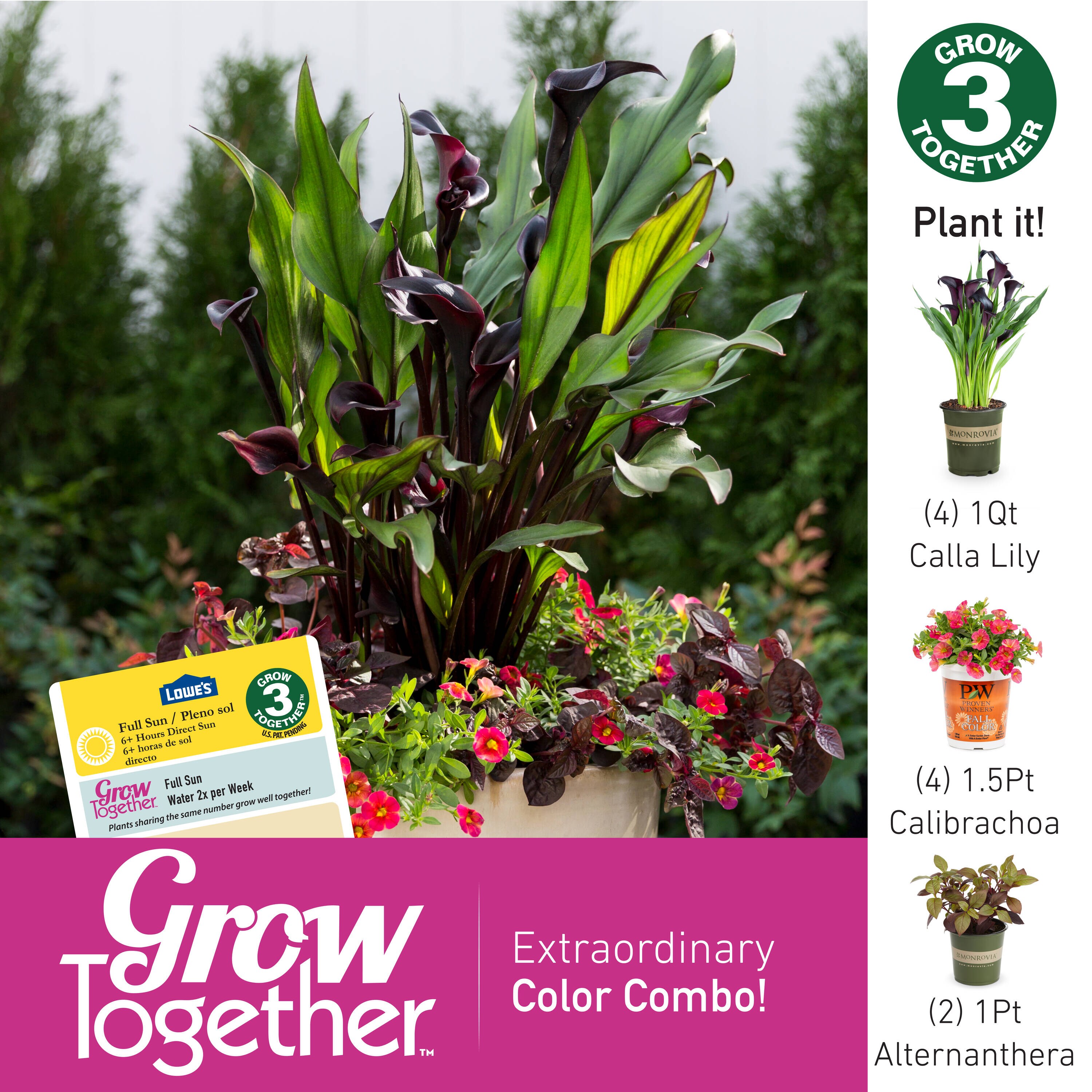 Lowe's 1157179 perennials - View #3