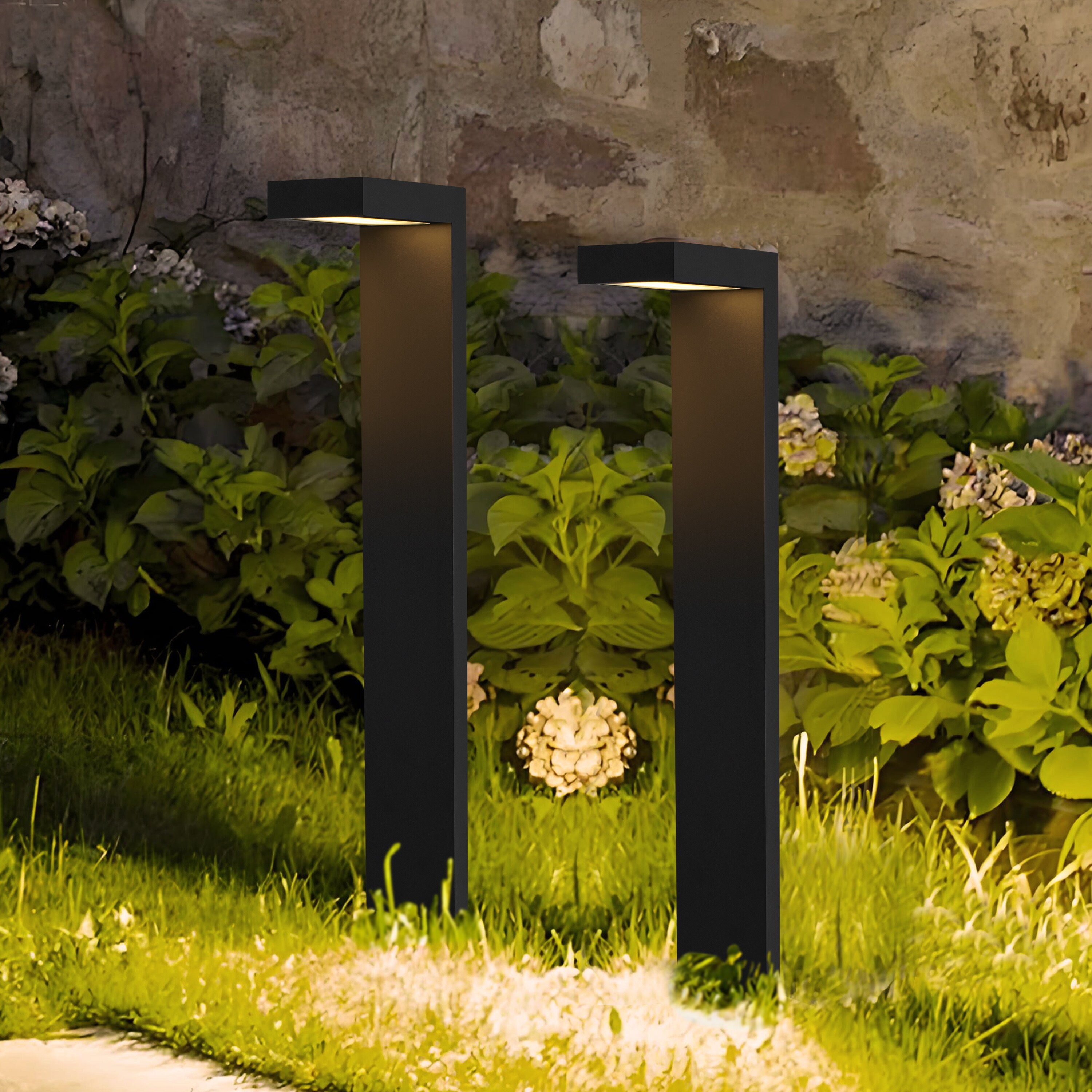 C Cattleya LLA2514-JES-2L Path-Lights - View #2