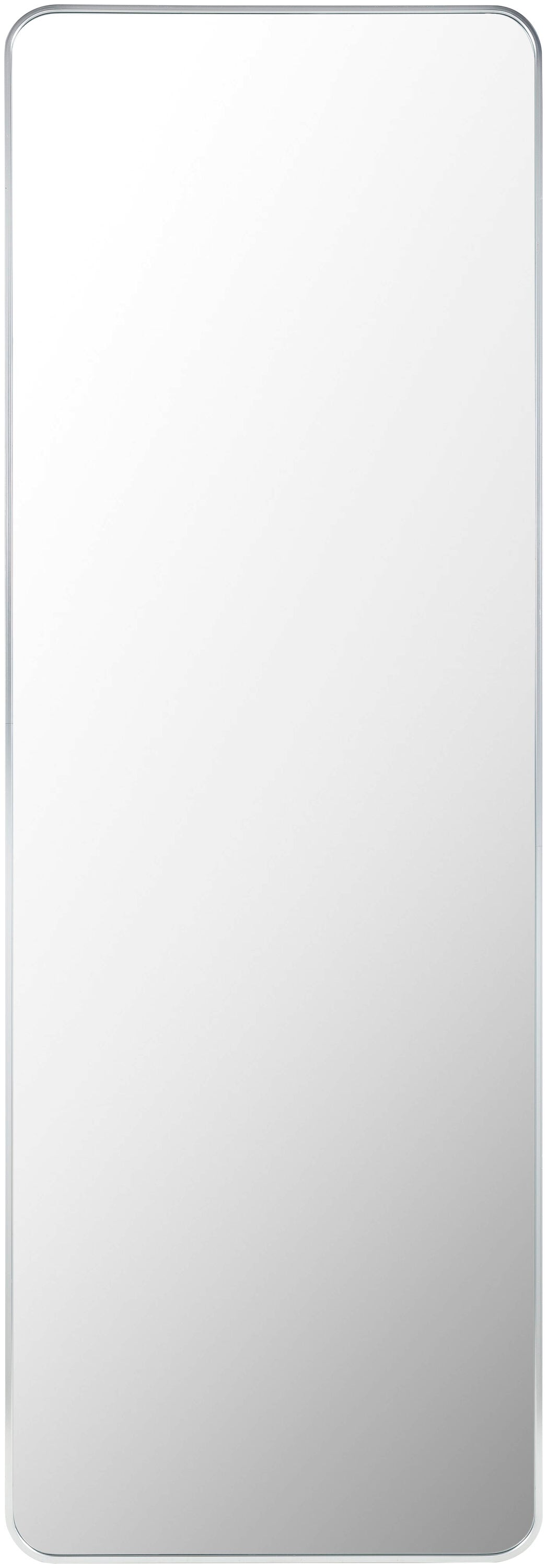 Livabliss RAY044-2265 Aranya 22-in W x 65.0-in H Rectangle Silver Framed Wall Mirror