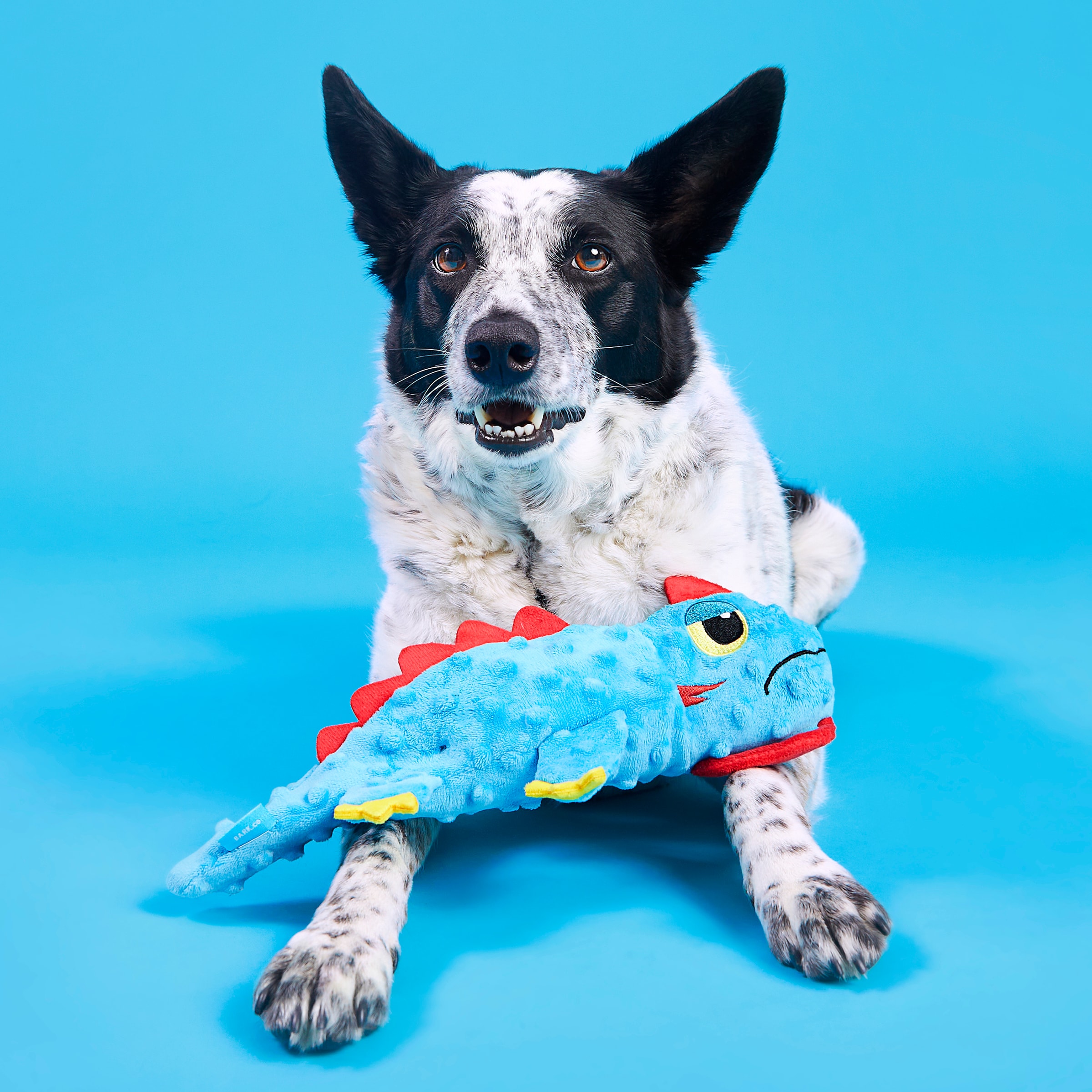 BARK 210603 Dog-Toys - View #4