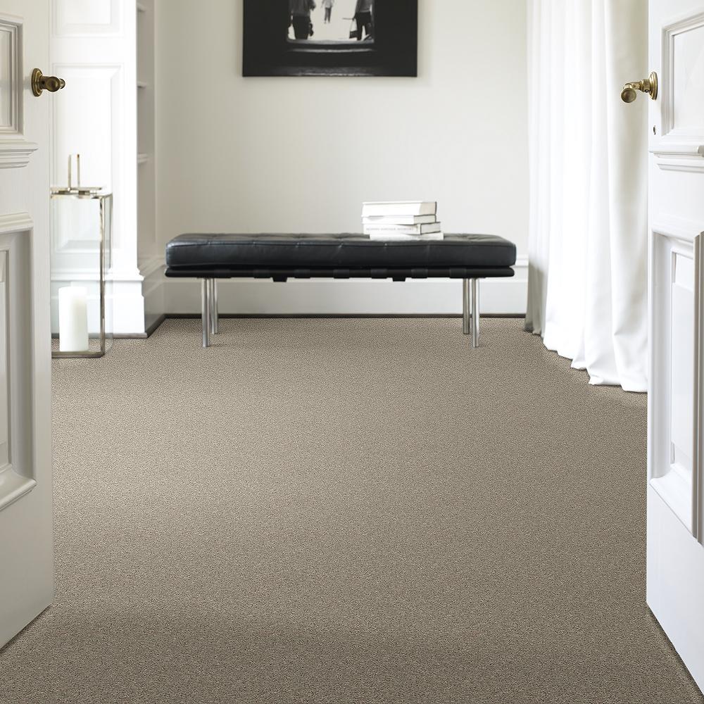 STAINMASTER 7L54900500 Carpet-Panel - View #2
