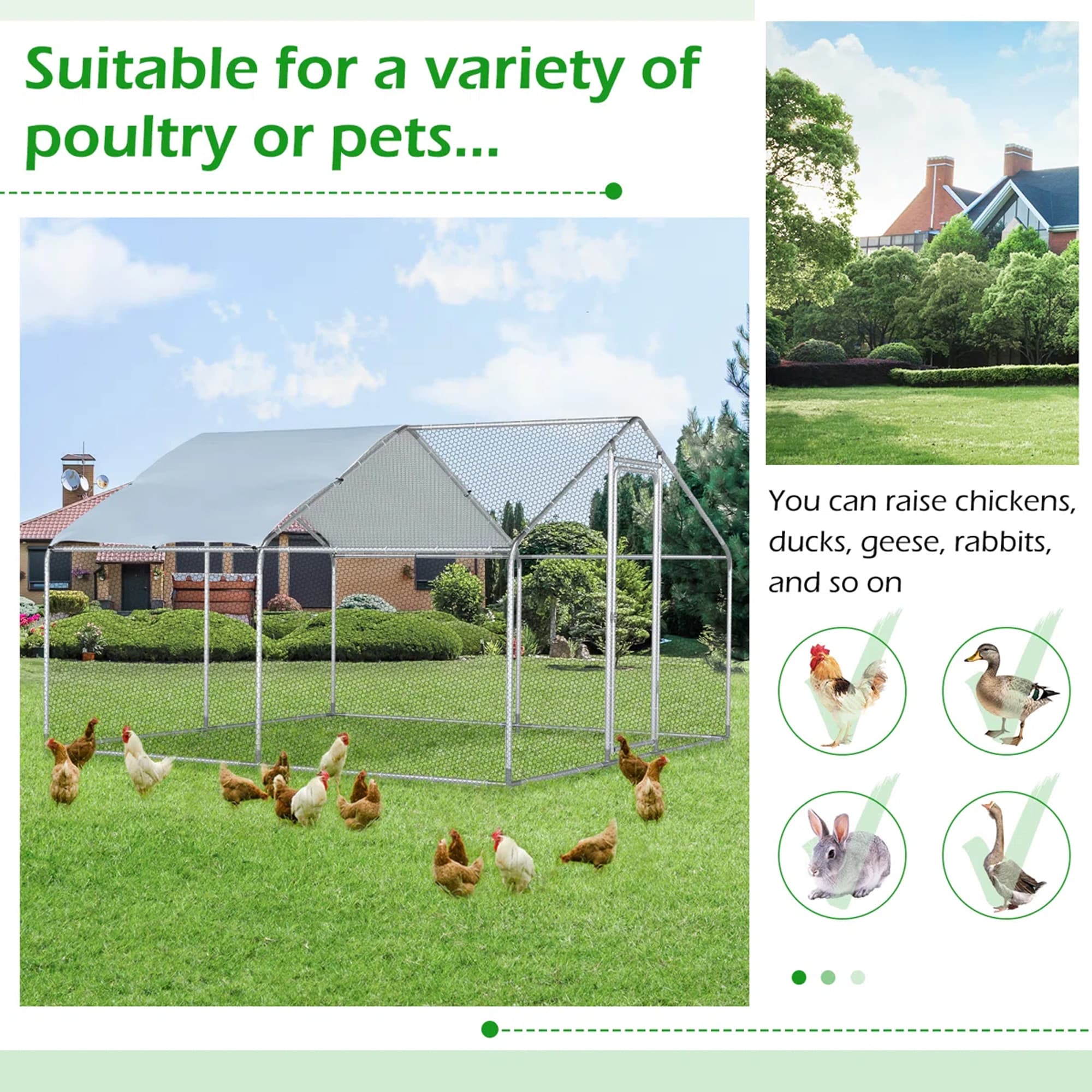 Gaierptone B230517-8 Chicken-Coops-Rabbit-Hutches - View #4