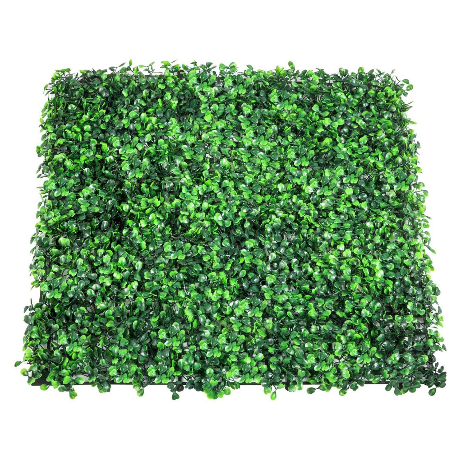 Choco Moon 12PCS 20inch Artificial Boxwood PanelsBoxwood Hedge Wall PanelsArtificial Grass Backdrop Wall 1.6in