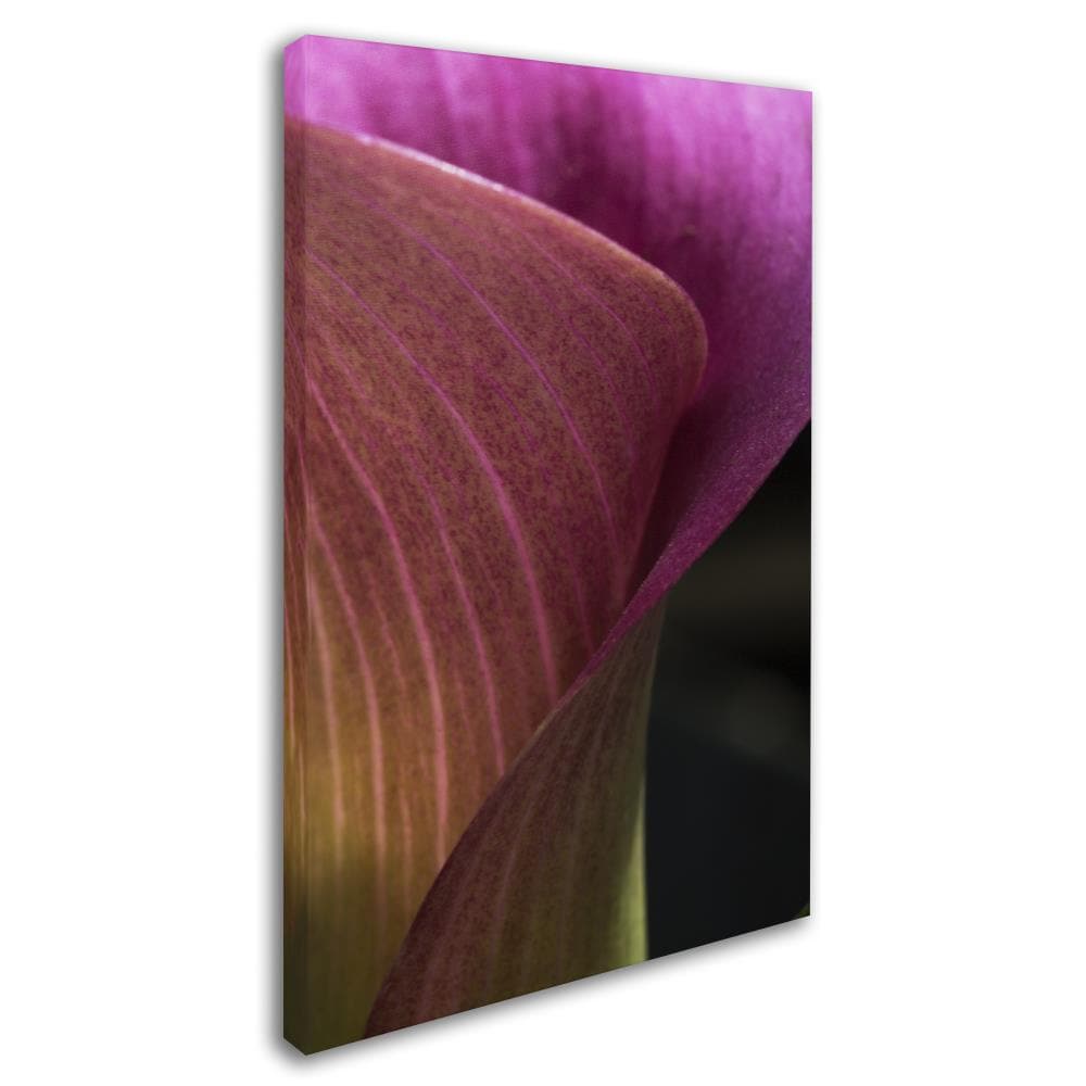 Trademark Fine Art KS01148-C1219GG Wall-Art - View #2