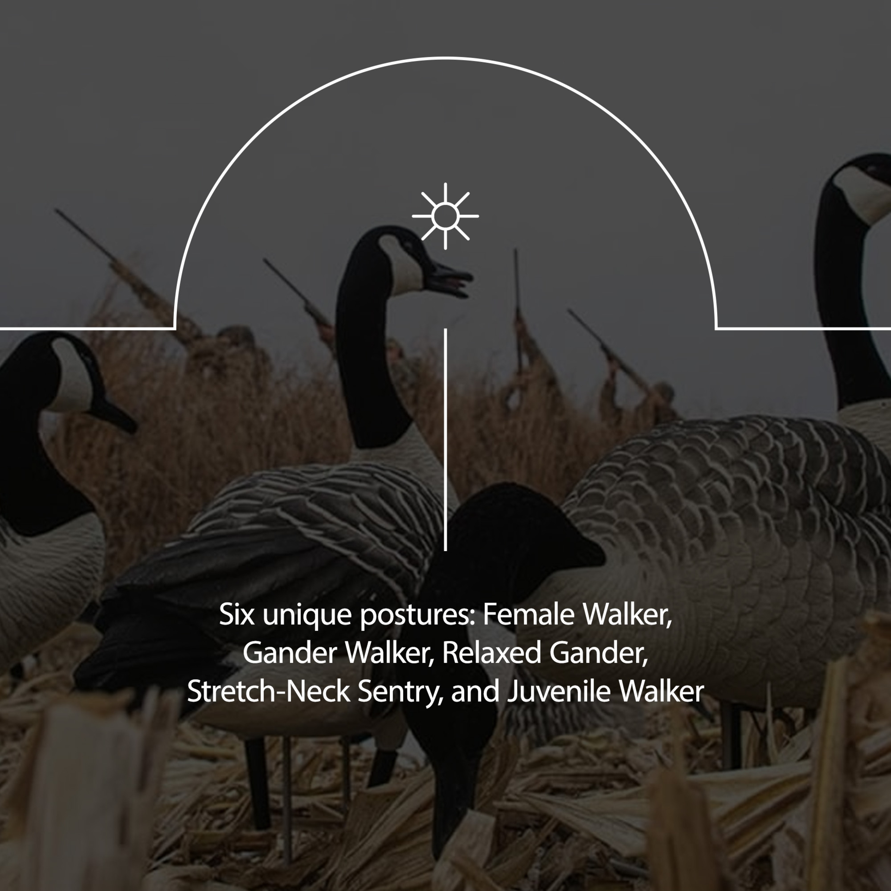  Avian X 408564 Hunting-Equipment - View #5