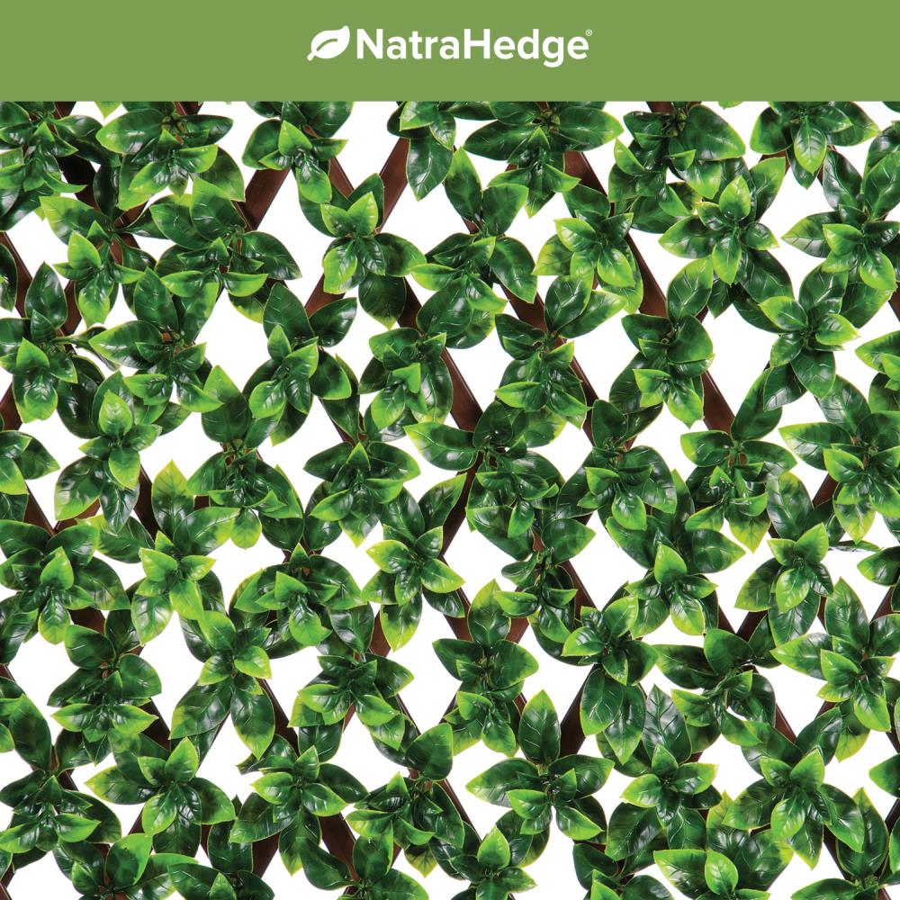 NatraHedge NHLAT-2452FIC Outdoor-Privacy-Screen - View #2