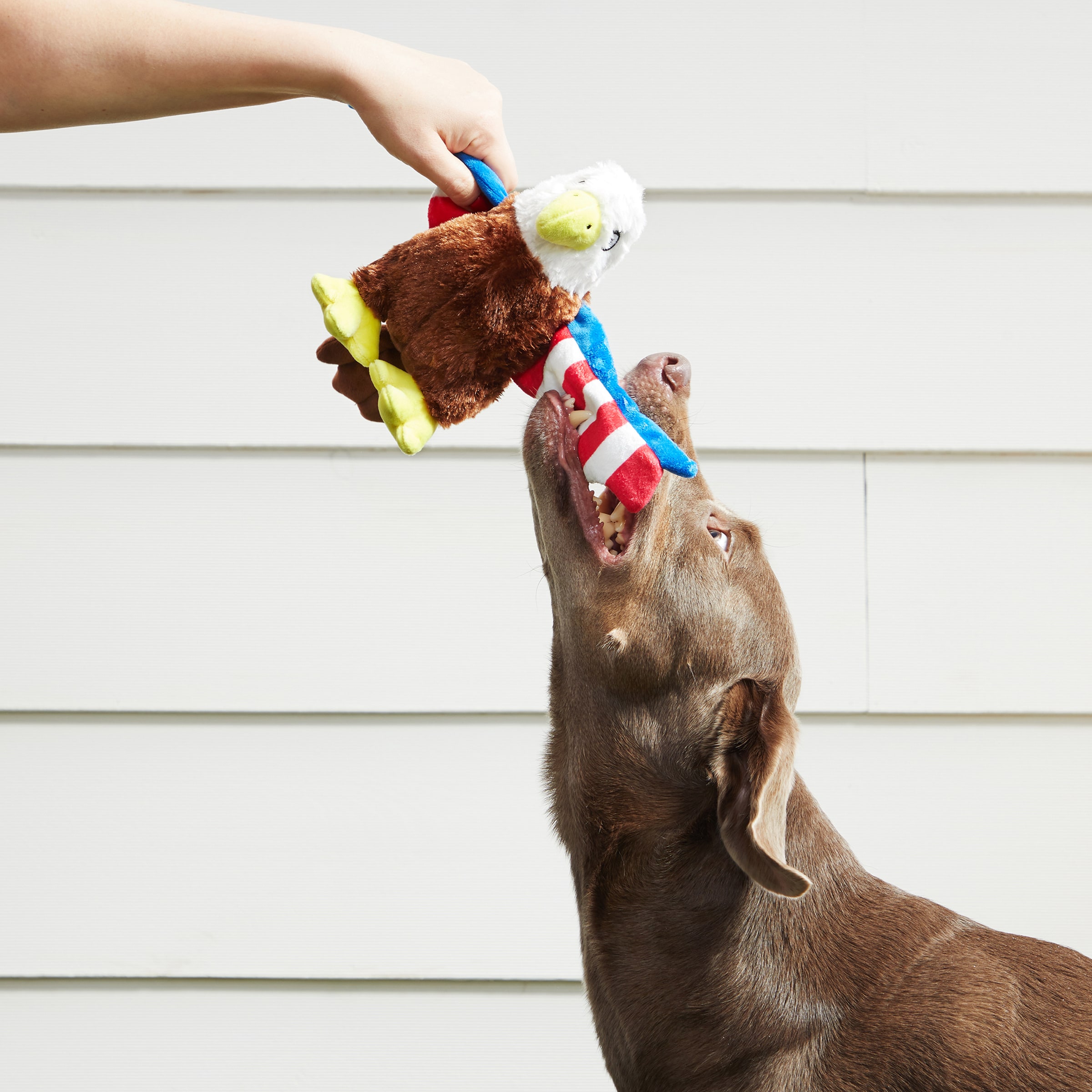 BARK 3782345 Dog-Toys - View #6