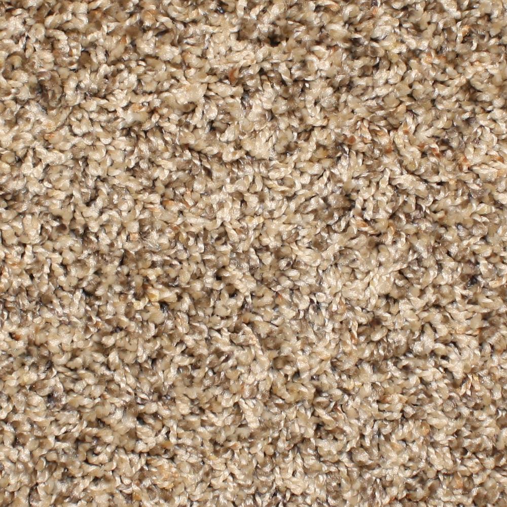STAINMASTER S9050-4-1200-AB (Sample) Essentials Conway Rave Review Textured Carpet