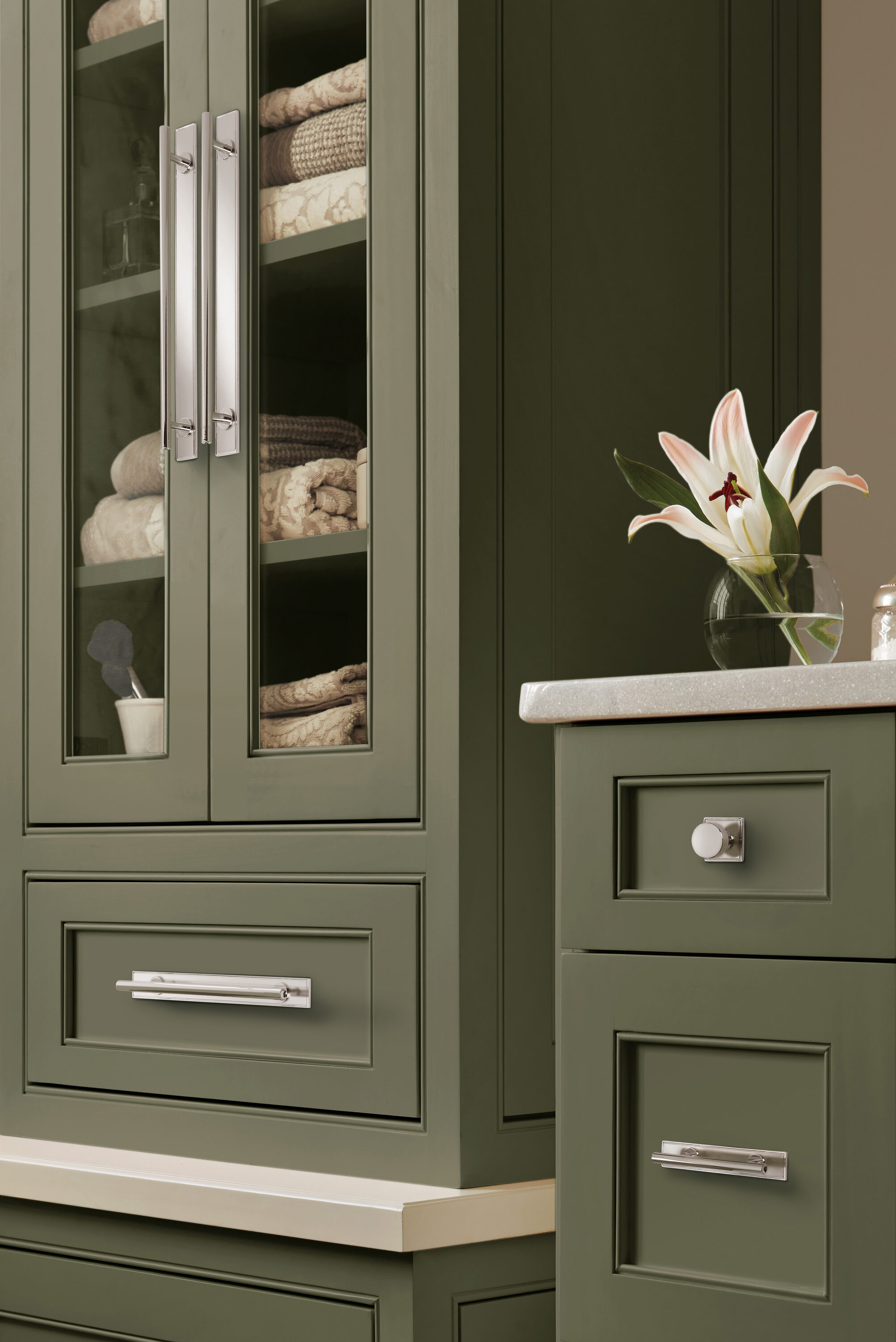 Amerock BP37607PN backplates - View #2