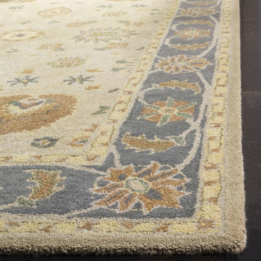 Safavieh AN561A-5 rugs - View #3