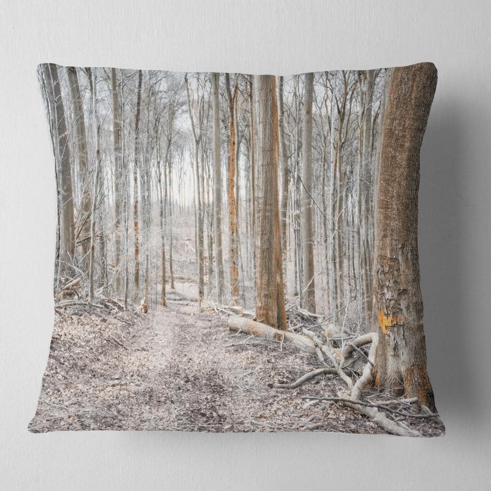 Designart CU13935-18-18 18-in x 18-in White Indoor Decorative Pillow