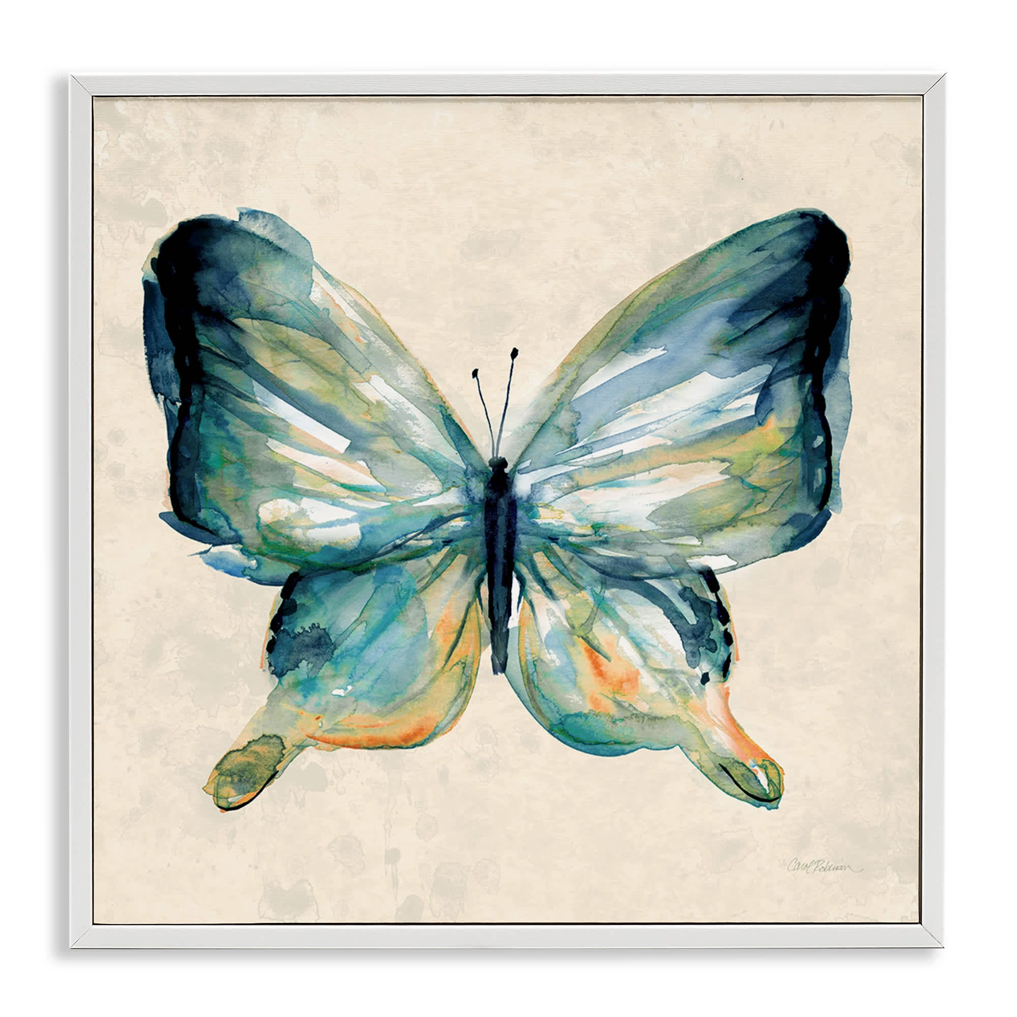Stupell Industries BS-249-WFR-12X12 Bold Butterfly in Green White Framed Giclee Art By Carol Robinson 12 x 12