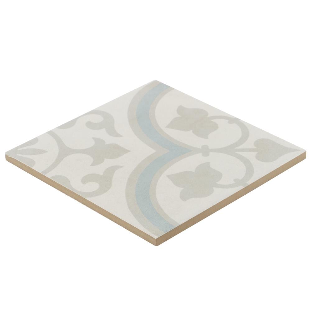 Agave 9" x 9" Multicolor Matte Porcelain Tile