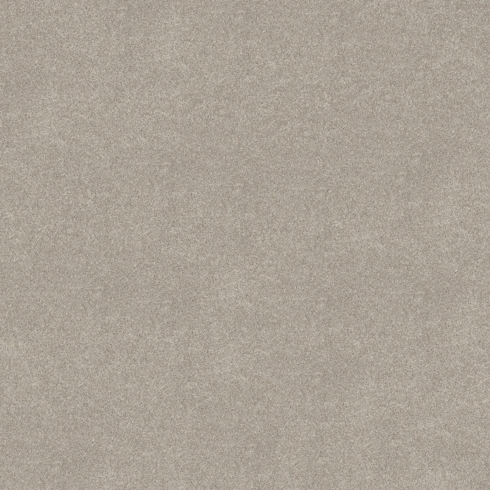 STAINMASTER PetProtect 7L937-124-SAMP (Sample) 8-in x 8-in with LeakDefense Terrific Tails I Chic Taupe Brown 49-oz sq yard High-performance polyester Textured Indoor Carpet