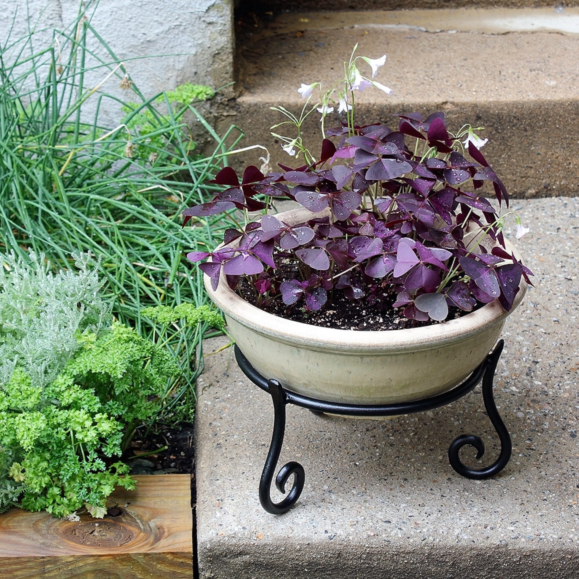 ACHLA Designs GBS-22 Plant-Stand - View #7