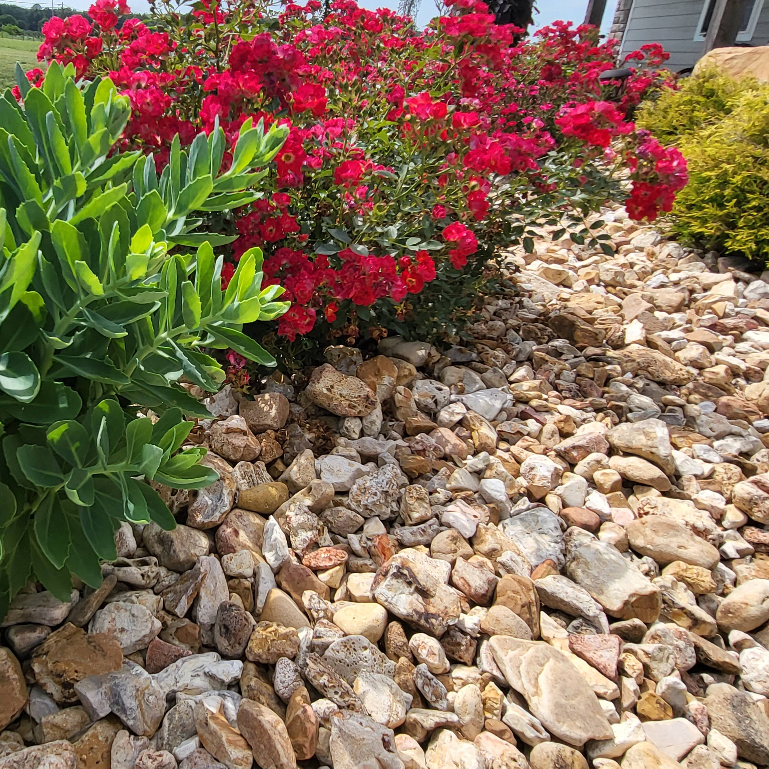 To river rock or not? : r/landscaping