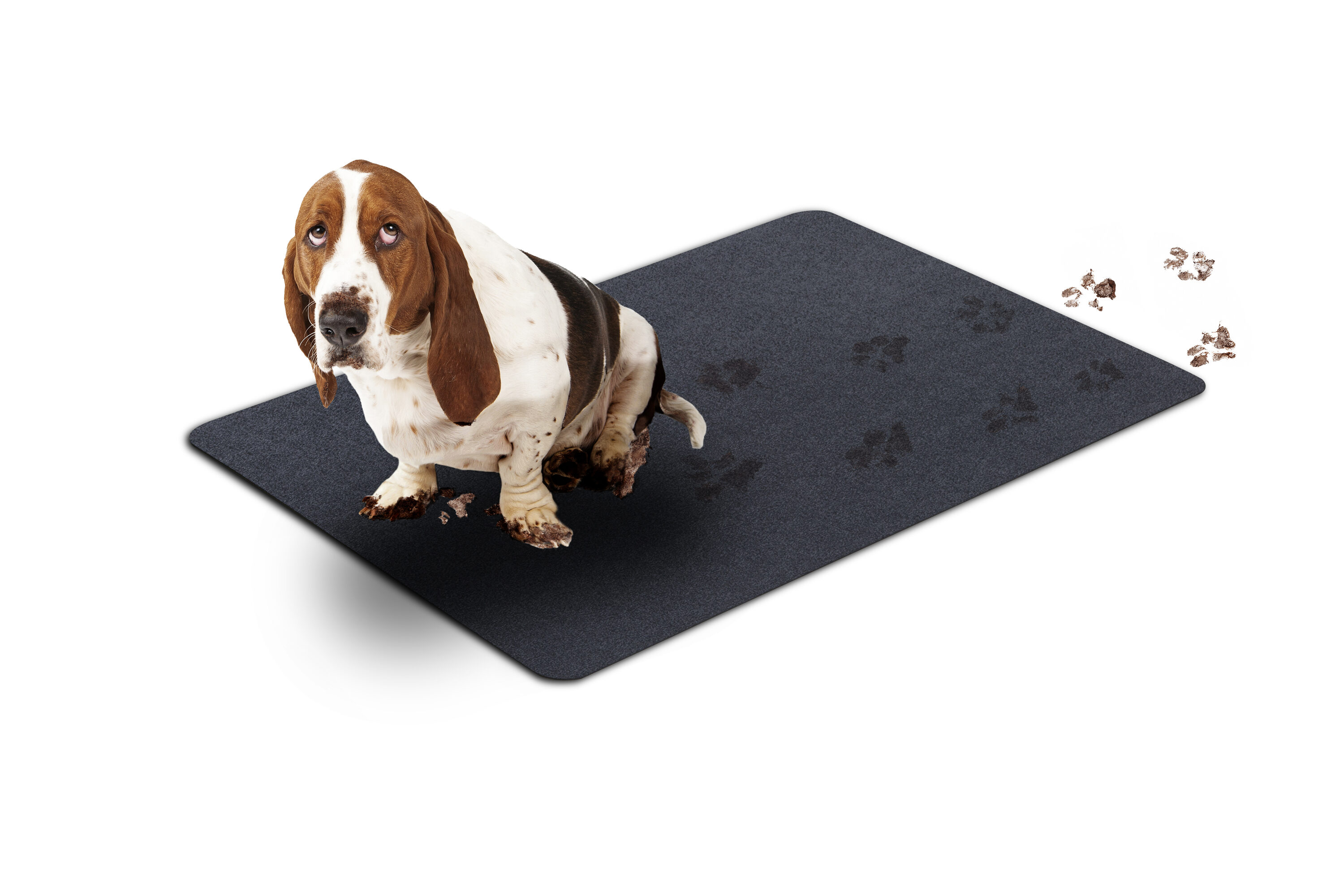 Basset Hound Dog Throw Rugs Non-Slip Bathroom Carpet Bath Mats Doormat Area  Rug Indoor Bedroom