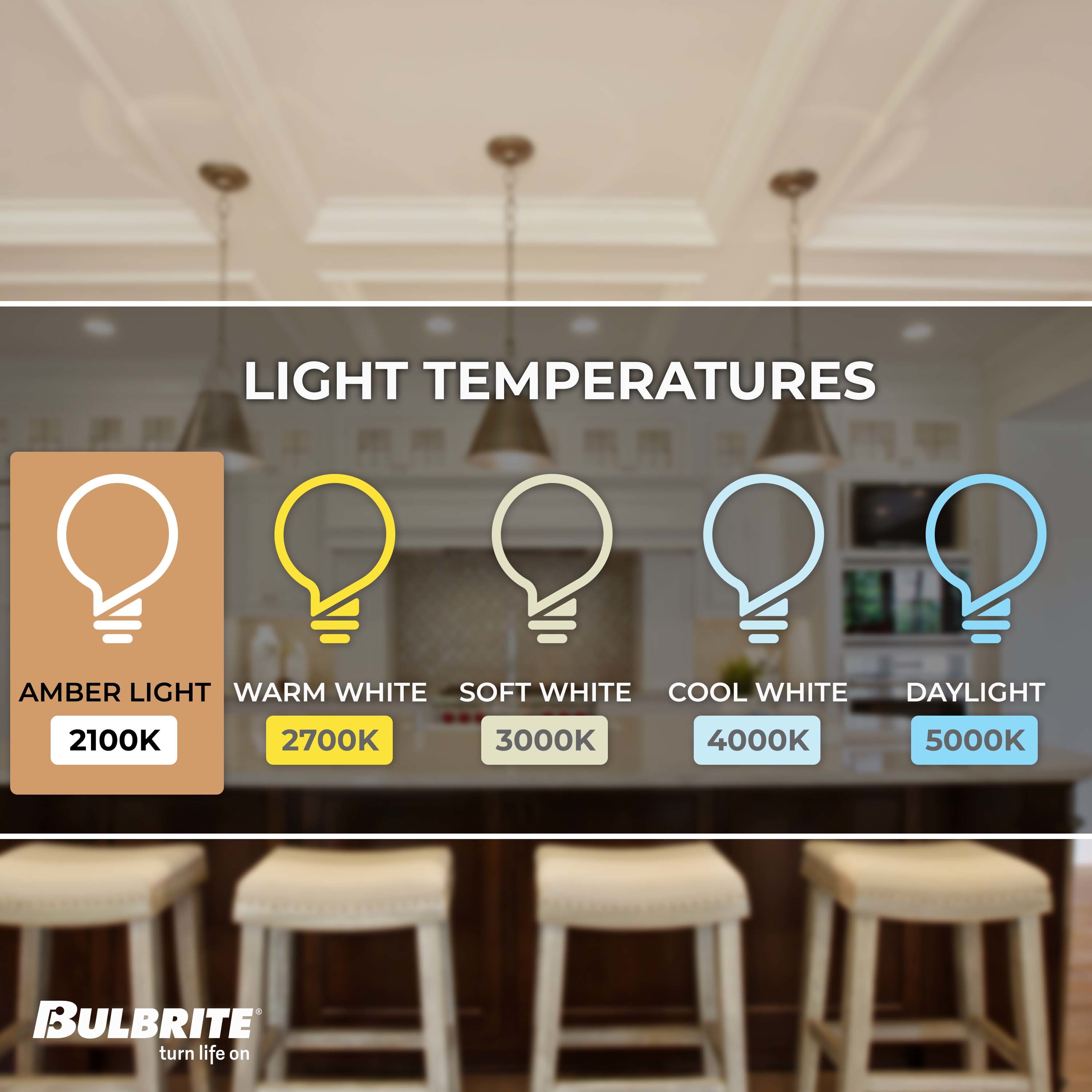 Bulbrite 861230 Dec-Led-Light-Bulbs - View #4