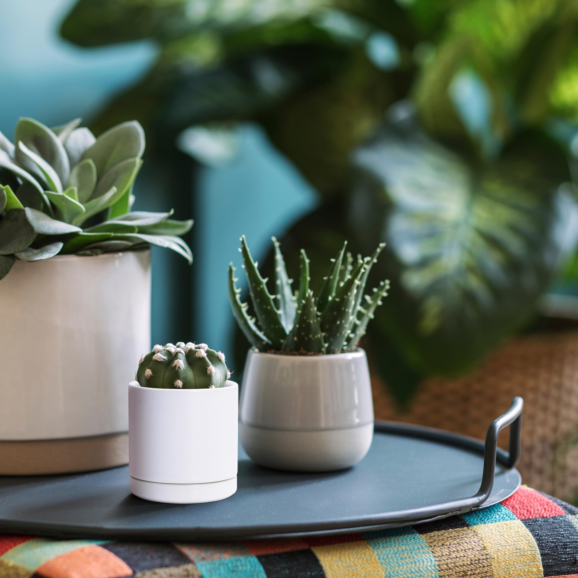 Justincity LJT0529J025 Planter-Window-Box - View #5