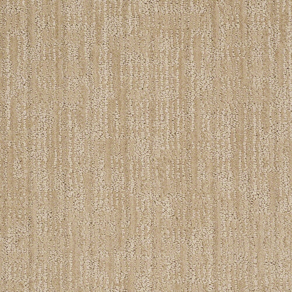 STAINMASTER 7L62900122 Unmistakable Cashmere Sweatr Berber/Loop Interior Carpet