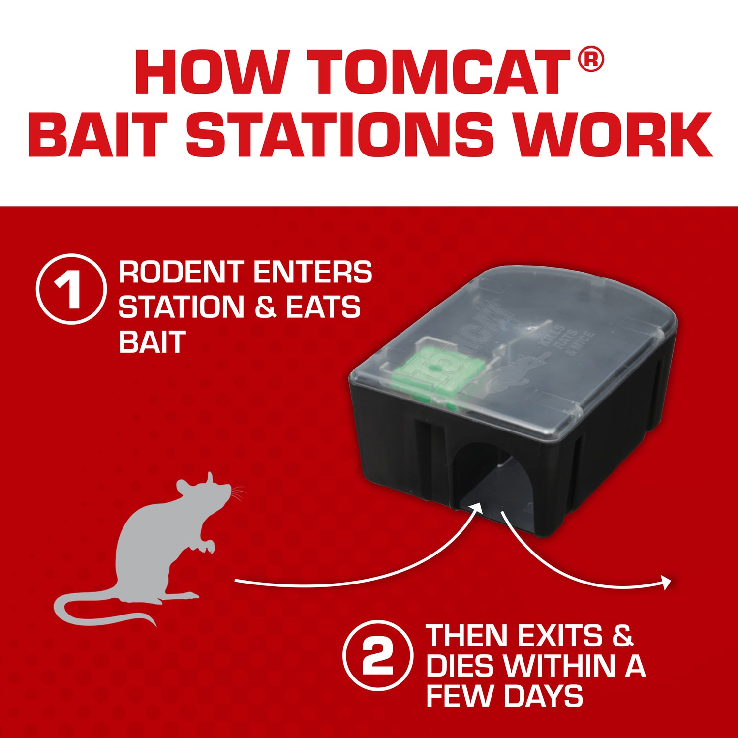 TOMCAT Child and Dog Resistant, Disposable Station Rat Killer in the Animal  & Rodent Control department at
