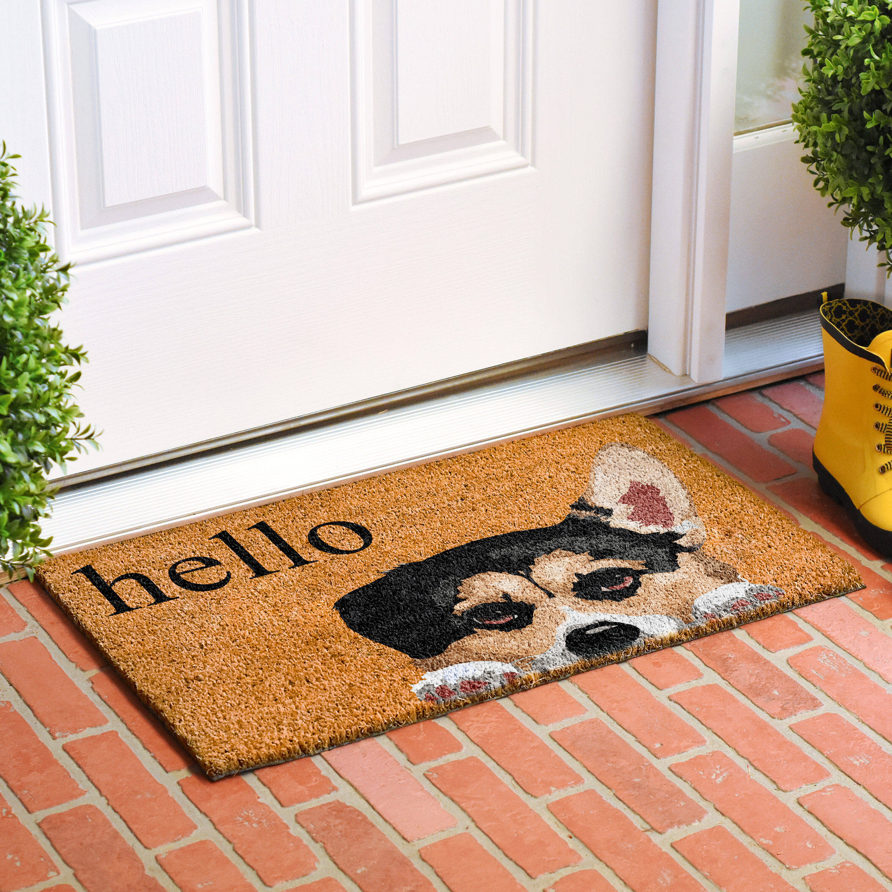 Callowaymills 109532436 Mats-Cat - View #2