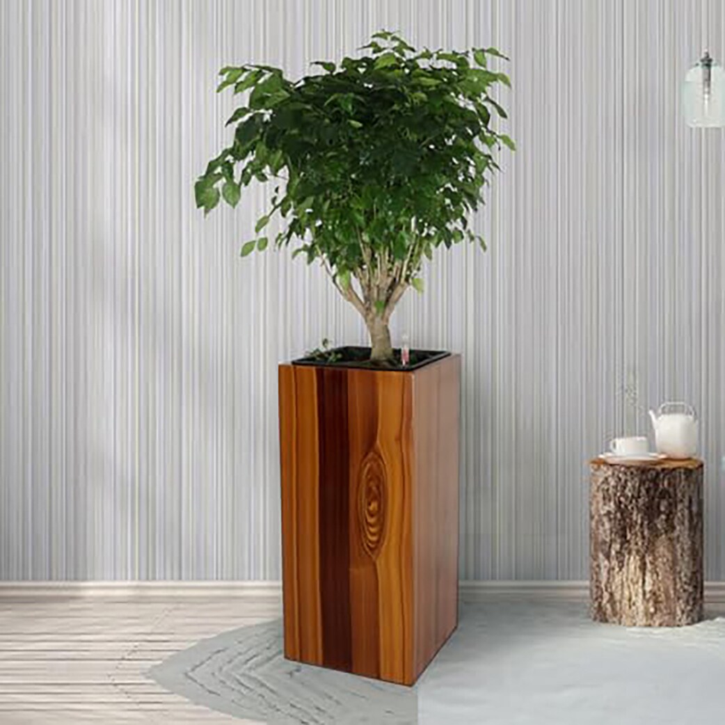 Kahomvis DTY-QPB0-679 Planter-Window-Box - View #6