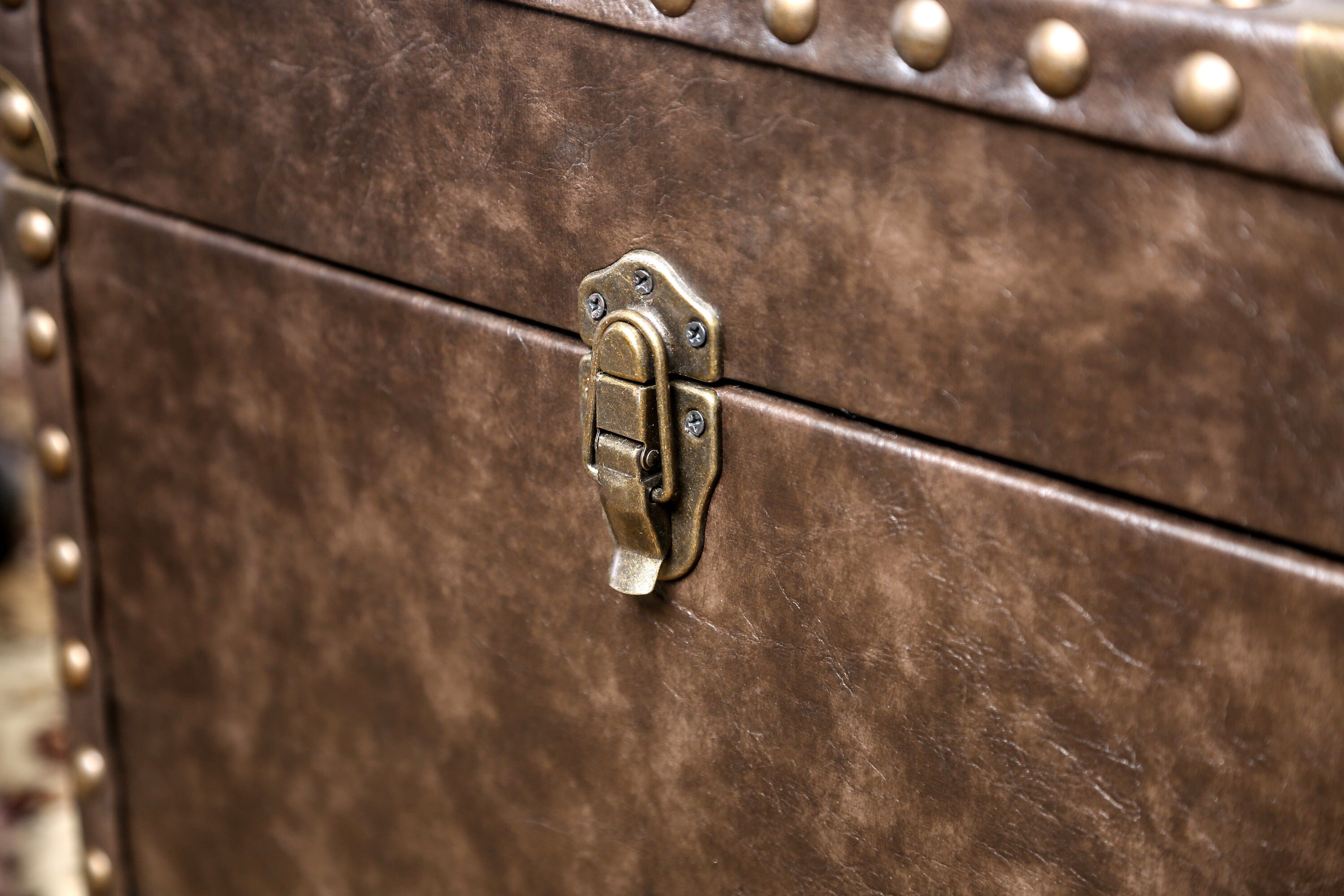 Furniture of America IDF-AC146 Storage-Trunks - View #4