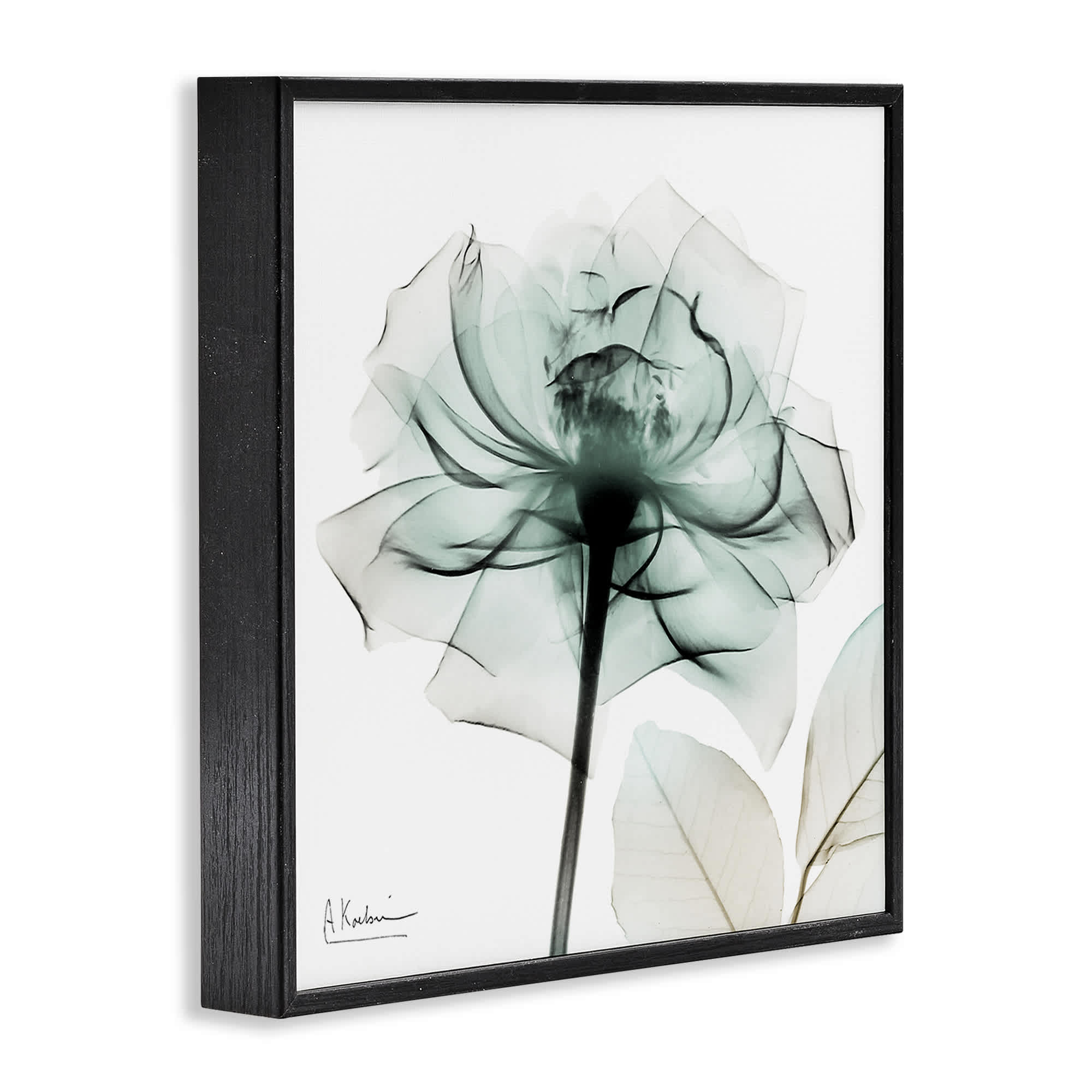 Stupell Industries BS-022-FR-12X12 Wall-Art - View #2