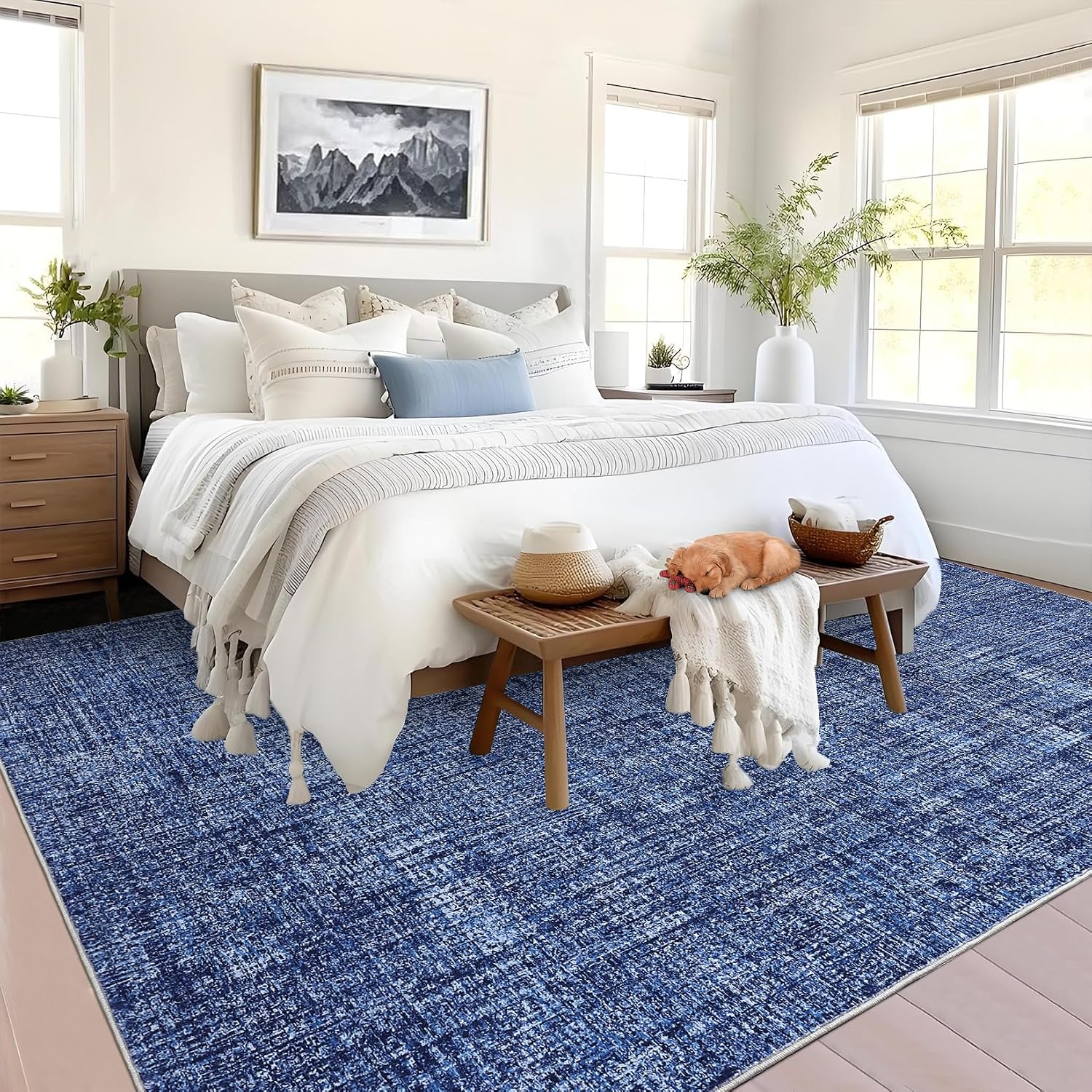 Assile XH260821131 rugs - View #2