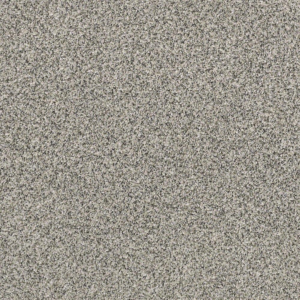 STAINMASTER PetProtect Foundry II Mineral Textured Indoor Carpet at ...