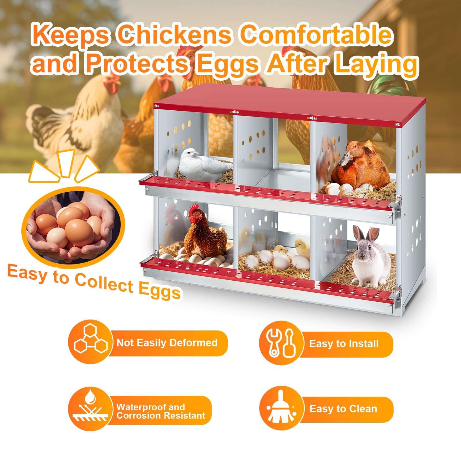 DEXSO ENCOREPHOBA12651 Chicken-Coops-Rabbit-Hutches - View #6