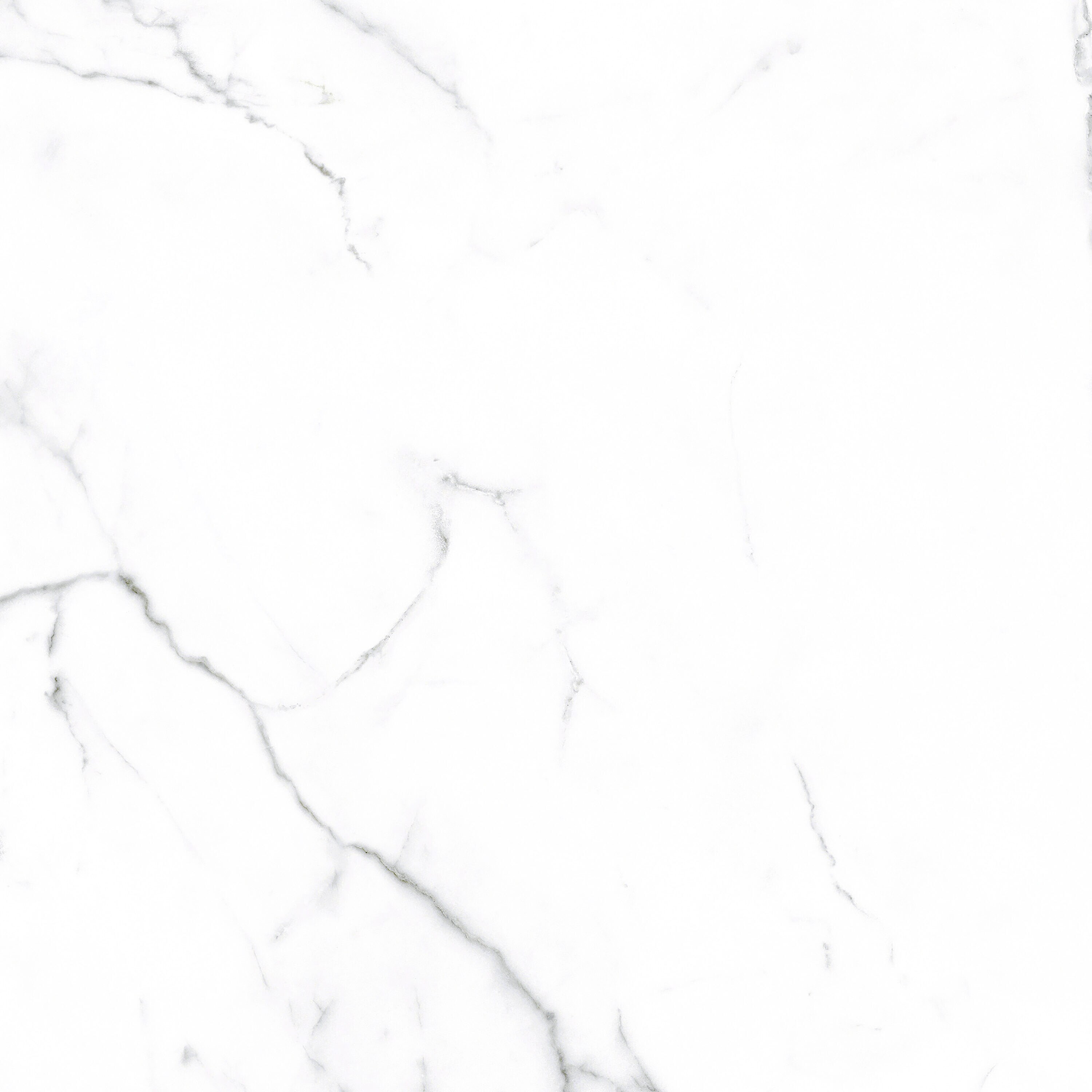 Style Selections Calacata White 20-in x 20-in Glazed Ceramic Marble ...