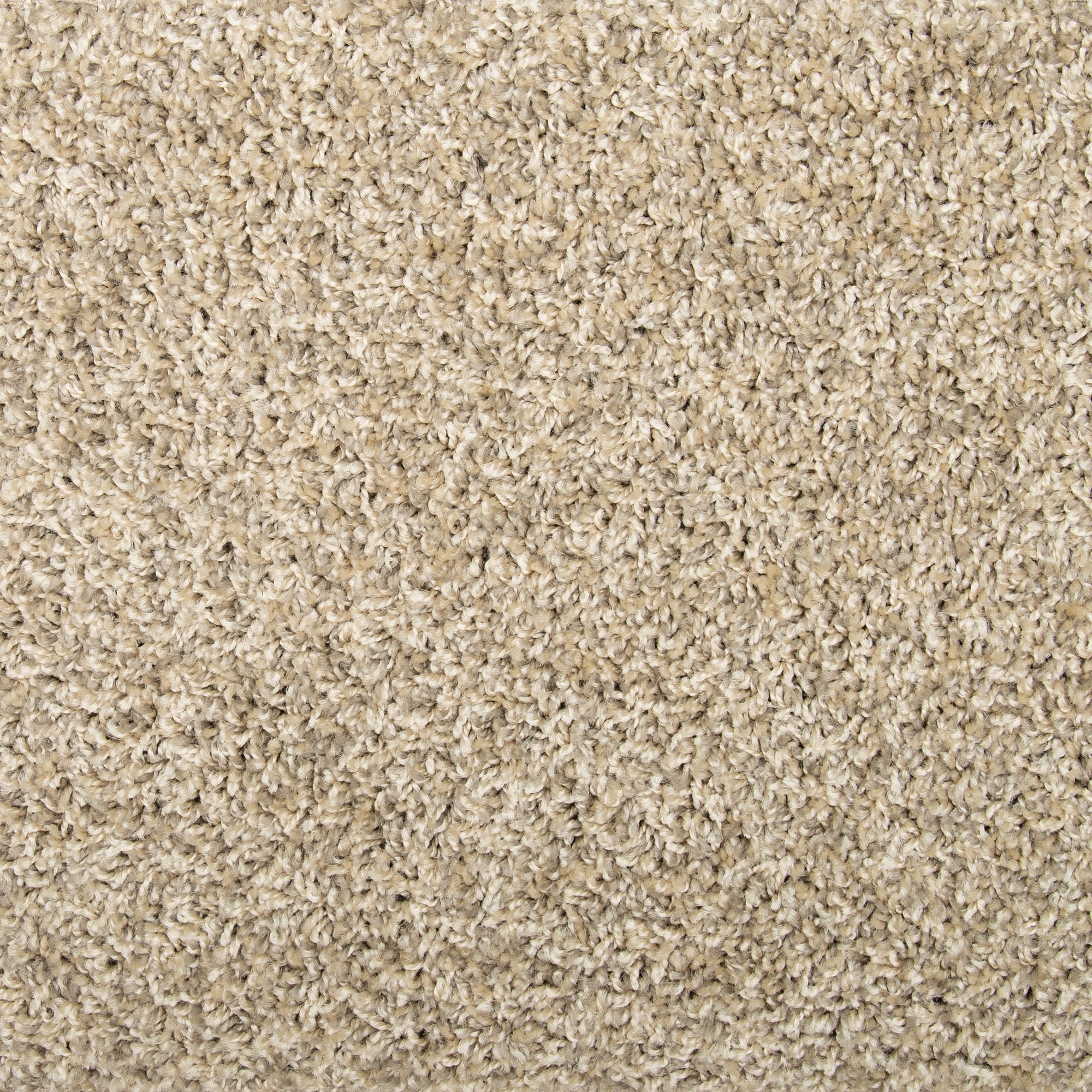 Mohawk SS025-L003-0808 (Sample) Pro Renovations - Civilized Shades Pro Grey Cloud Gray 25-oz sq yard Solution-dyed polyester Textured Indoor Carpet