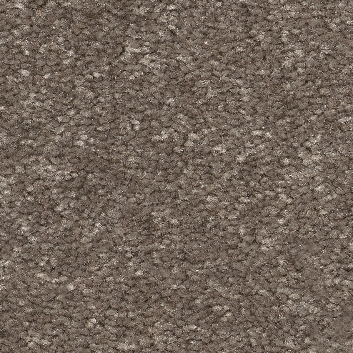 STAINMASTER 7L863 - 750 - SAMP (Sample) Best Intentions II Cobblestone Brown 53.6-oz sq yard Polyester Textured Indoor Carpet