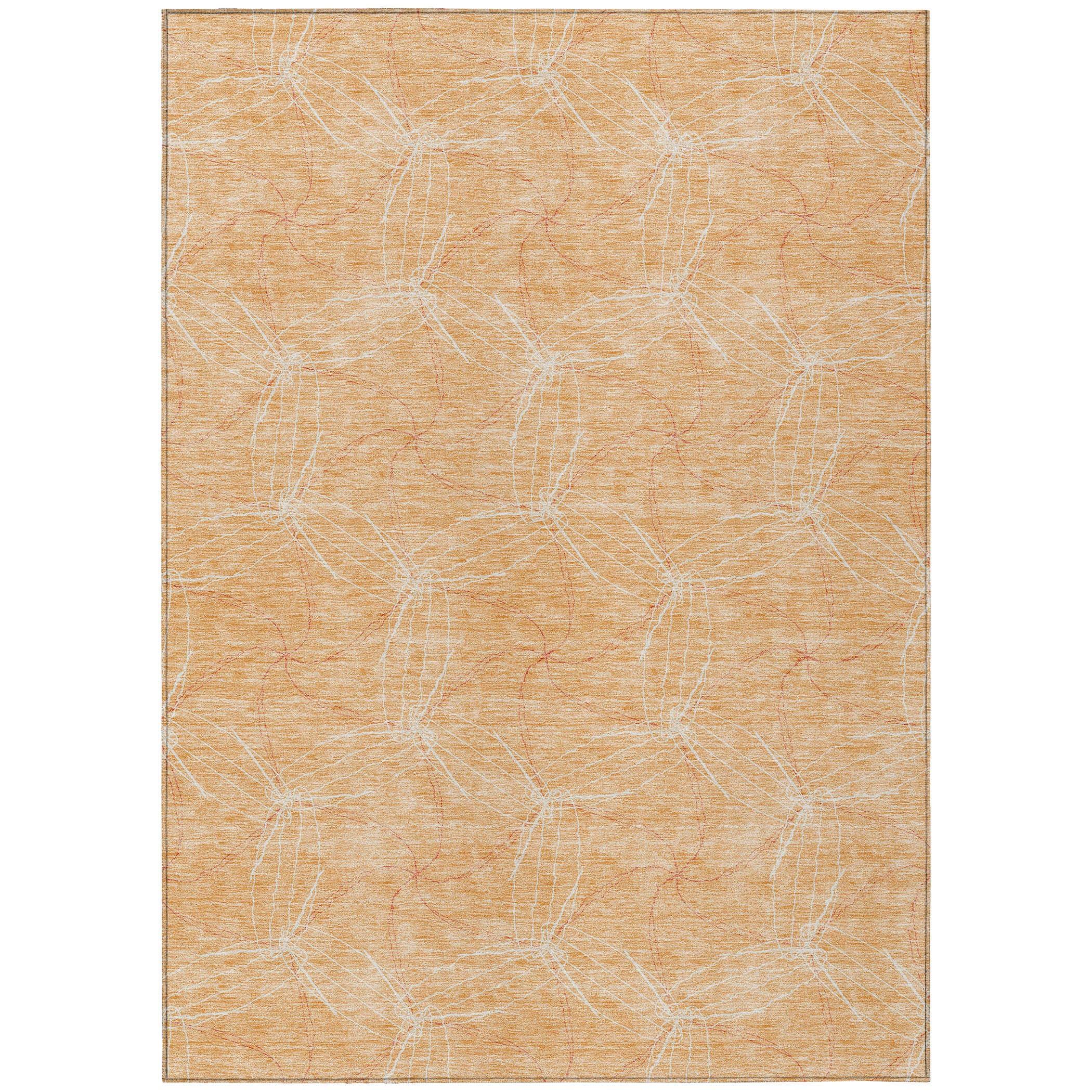 Addison Rugs ACN968PH3X5 rugs - View #2