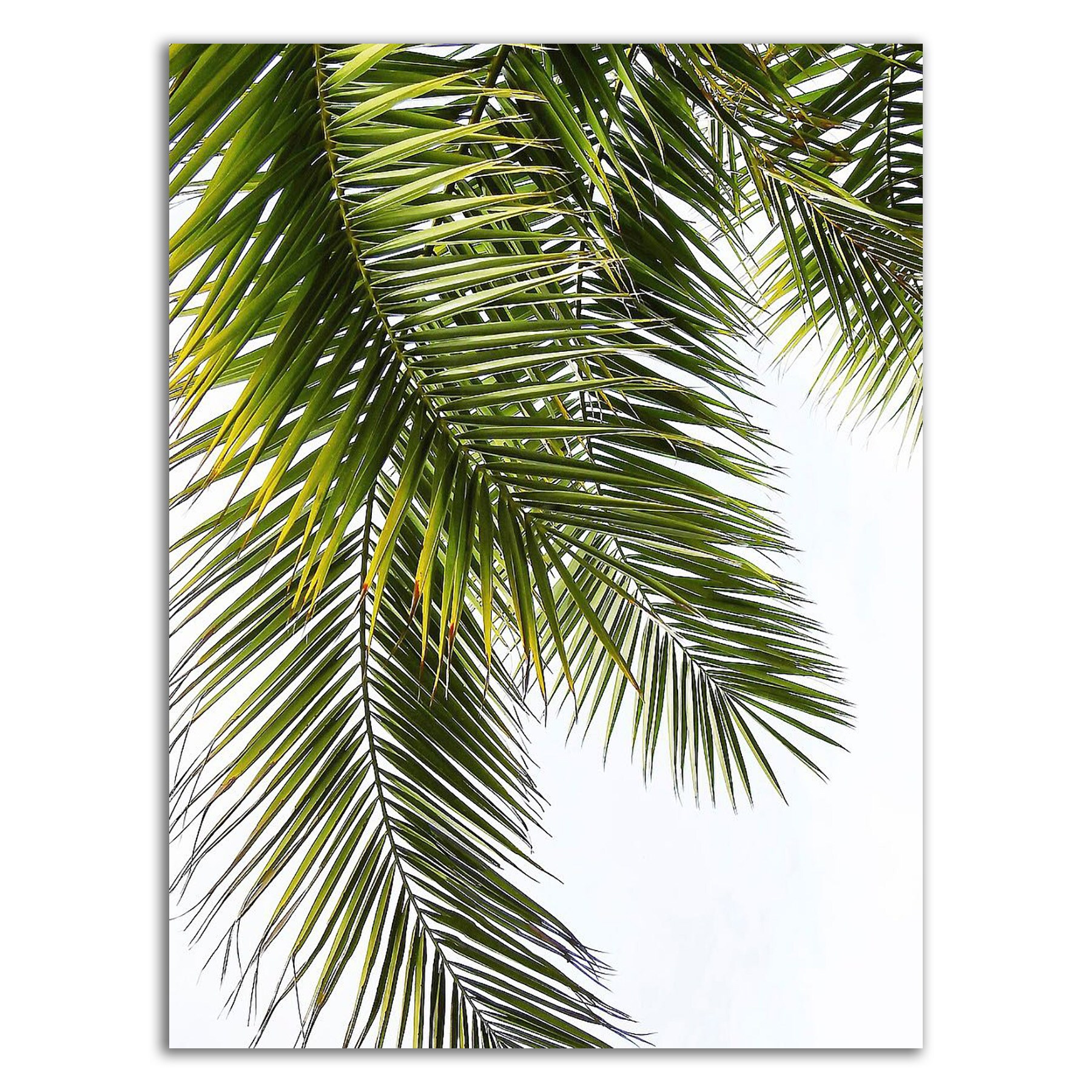 Tangletown Fine Art 8G841DC-1419 Wall-Art - View #3
