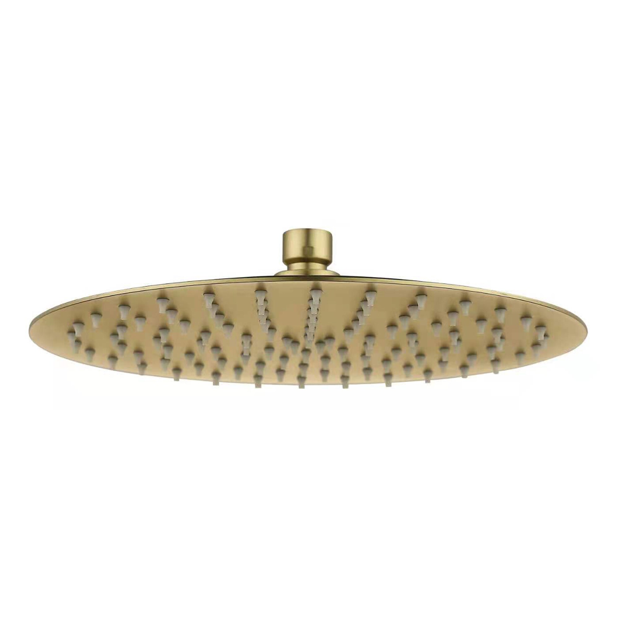 WELLFOR WB Shower Head Brushed Gold Rain Fixed Shower Head 1.5-GPM (5.7 ...