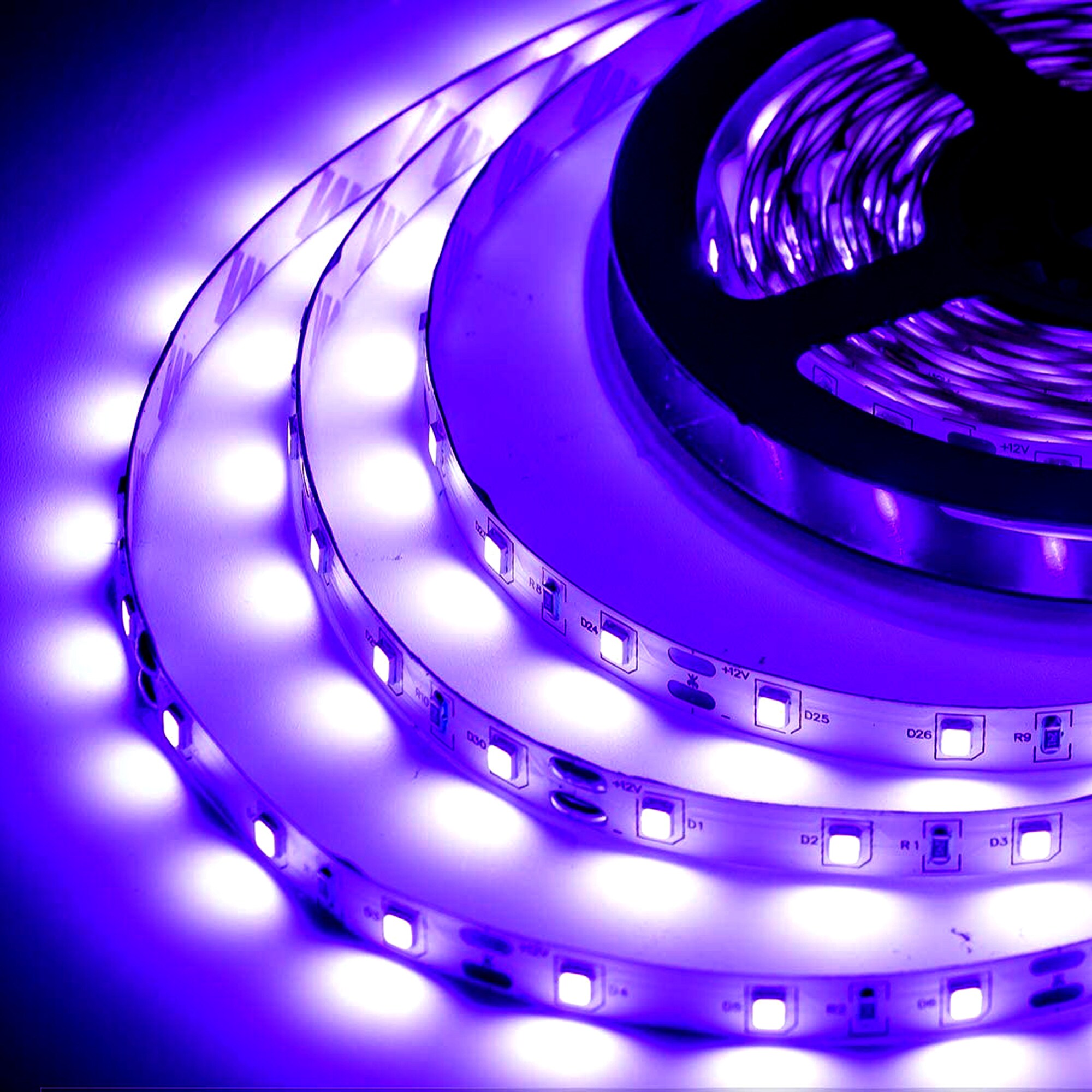 Monster UV Light Strip in the String Lights department at Lowes.com